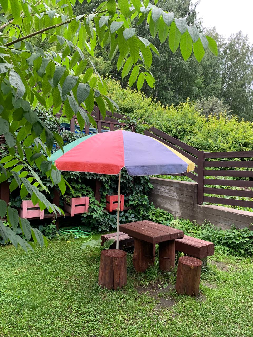 Фото Горная Пчела