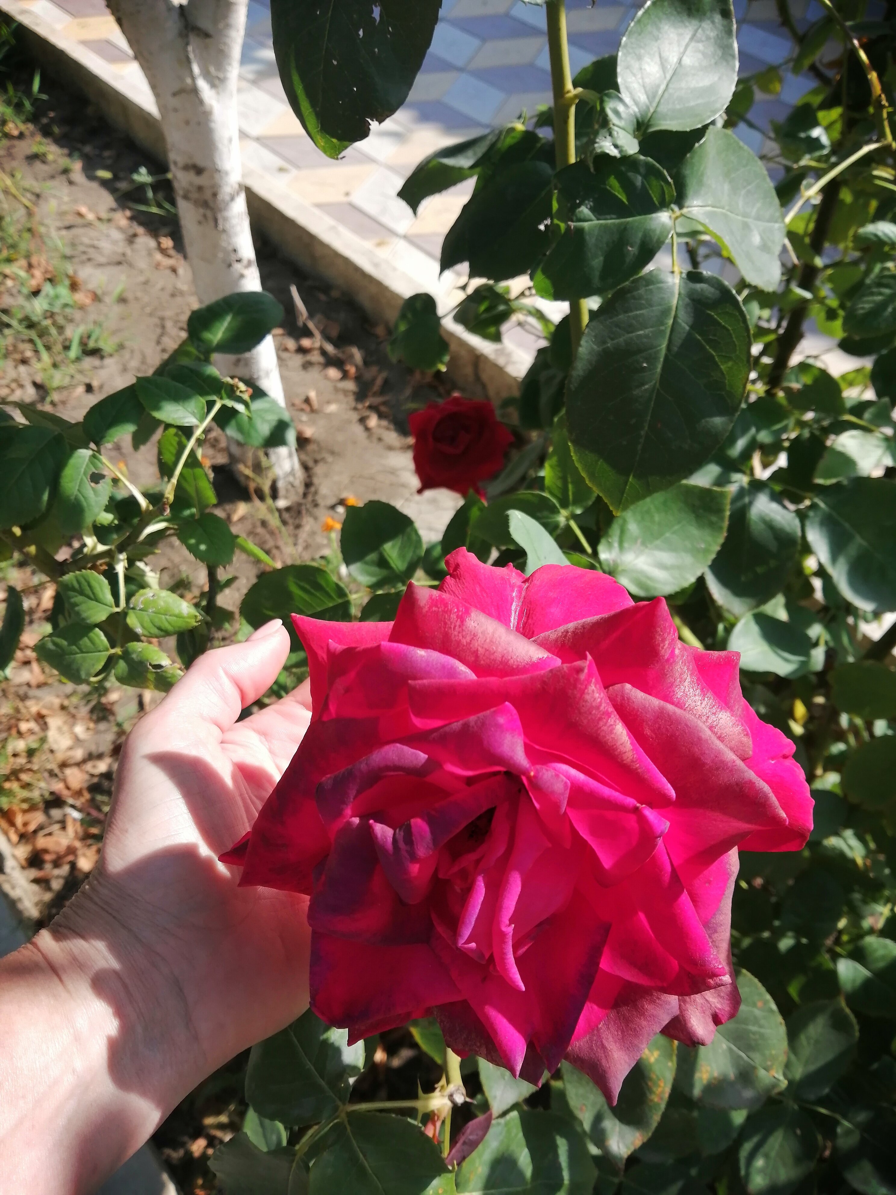 Фото Турист