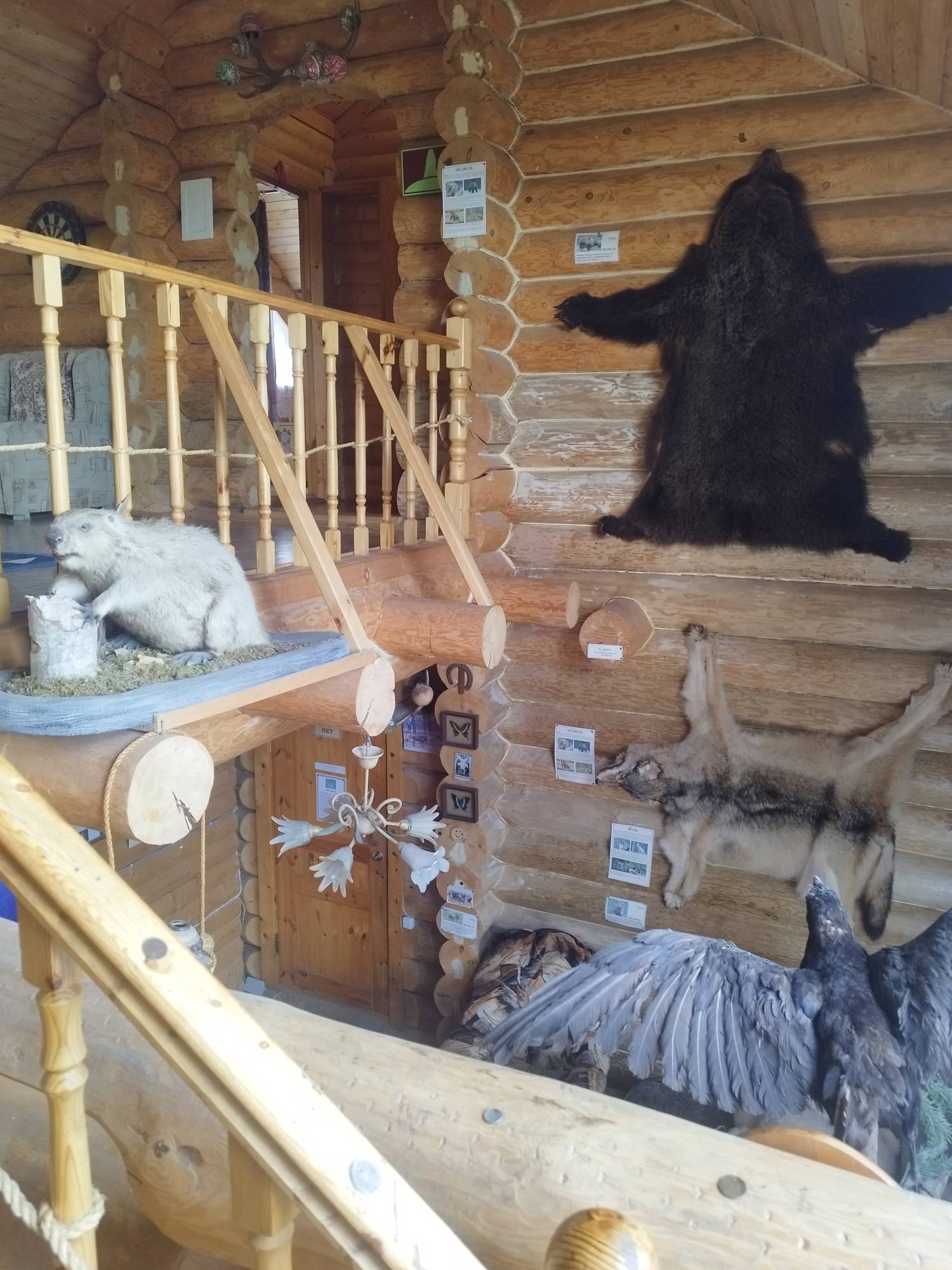 Фото Святозеро