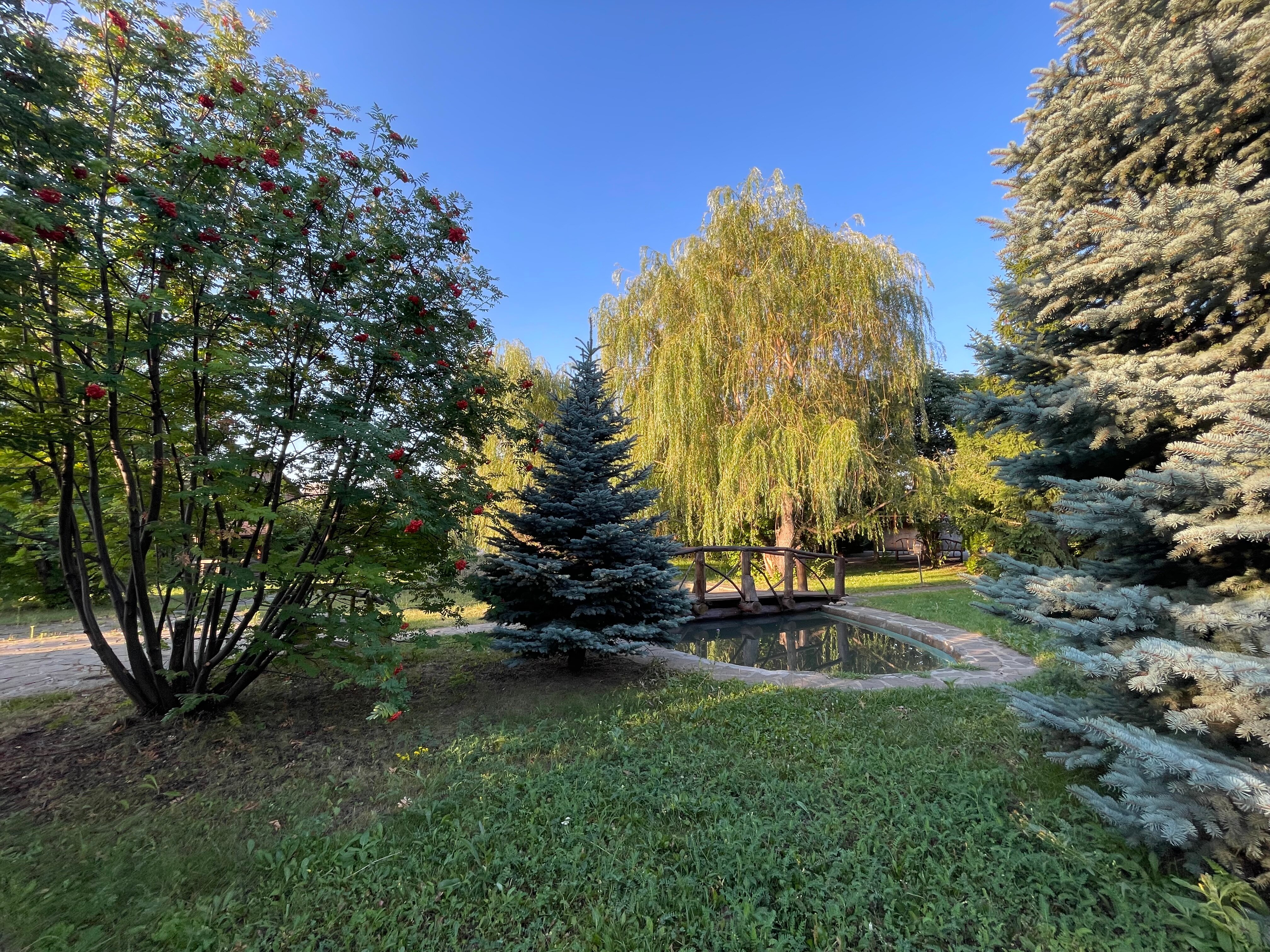 Фото Старый хутор