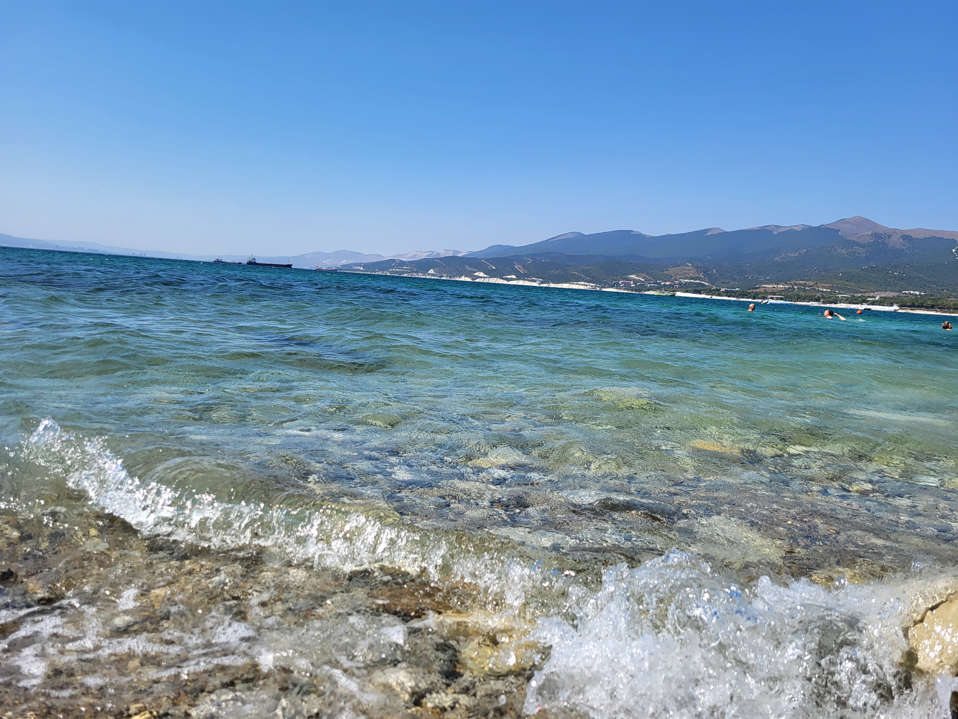 Фото Кедровая роща