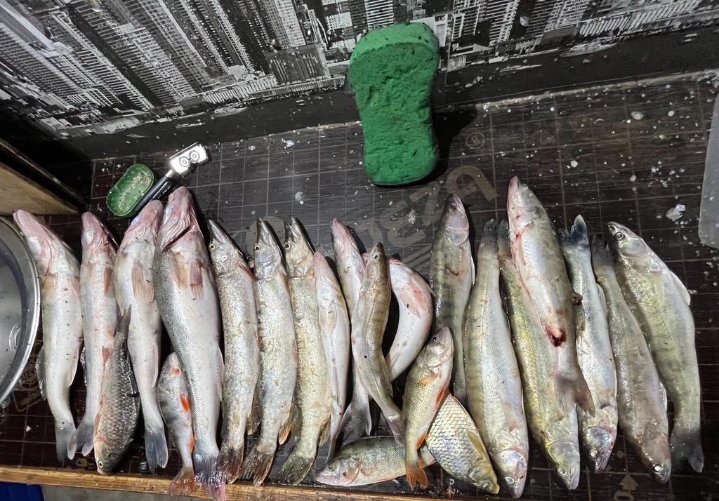 Фото У Олега