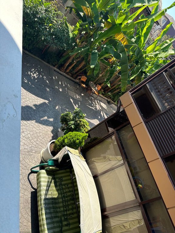 Фото У Чёрного моря