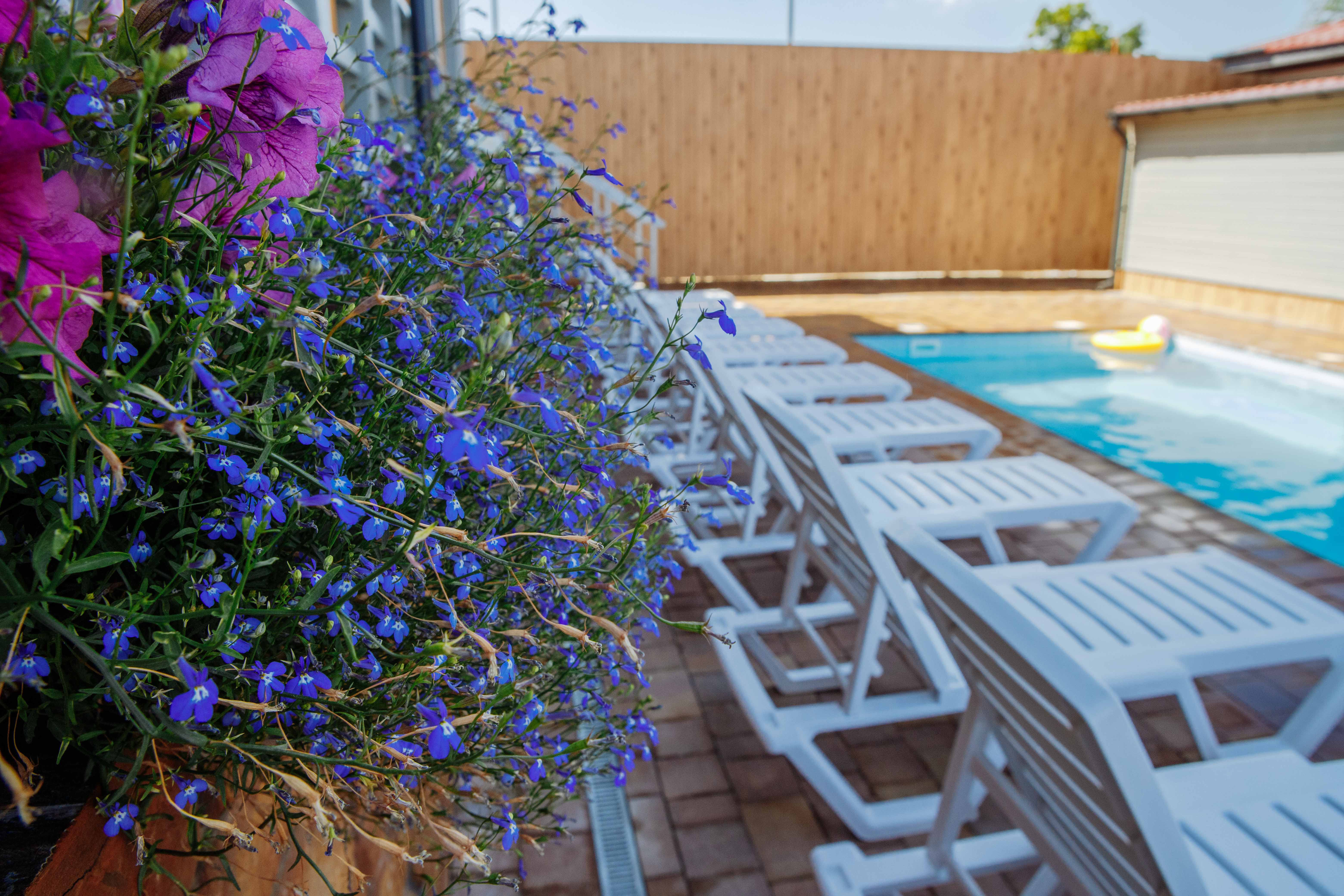 Фото Вилла Виола