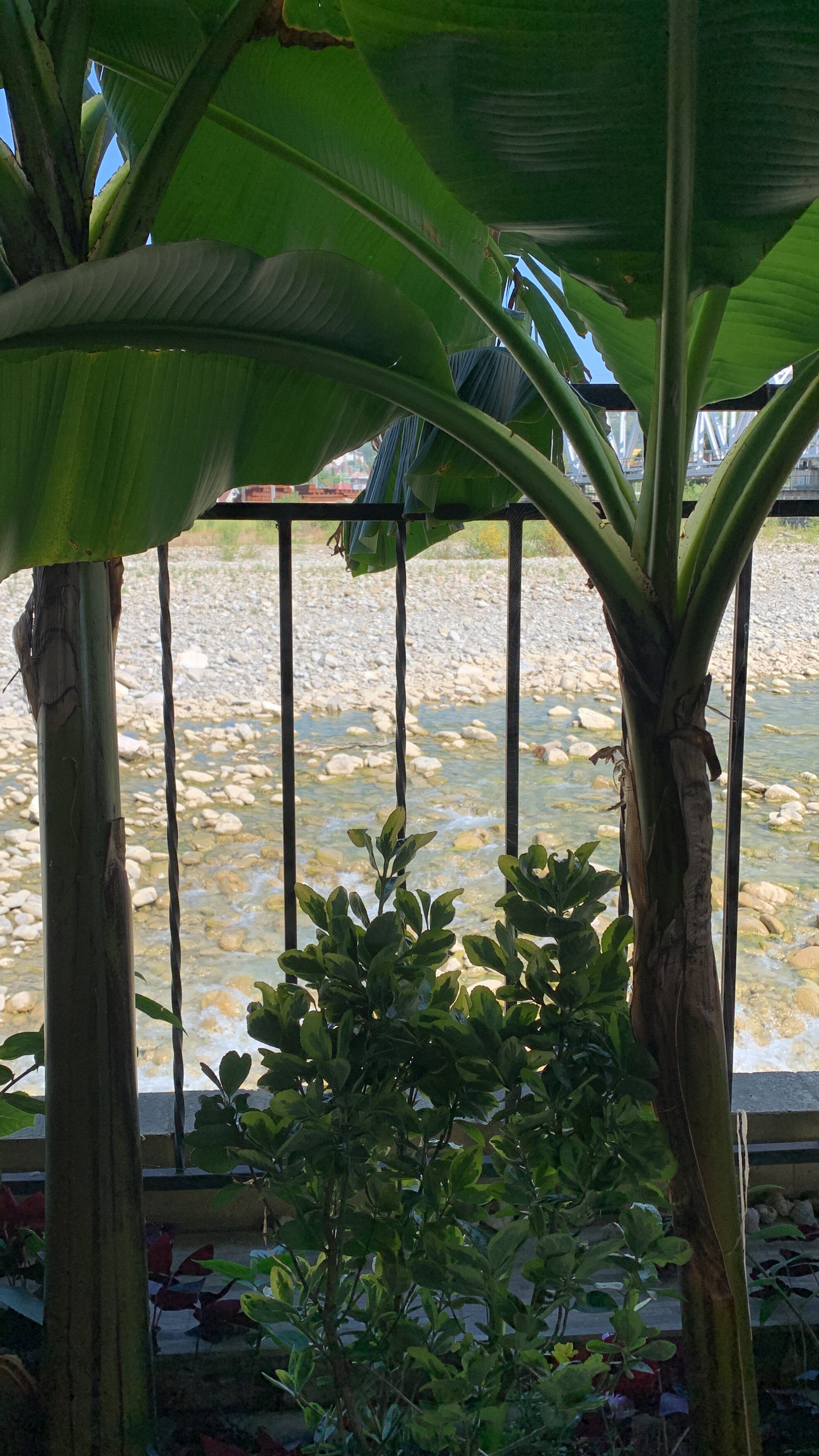 Фото Южный дворик