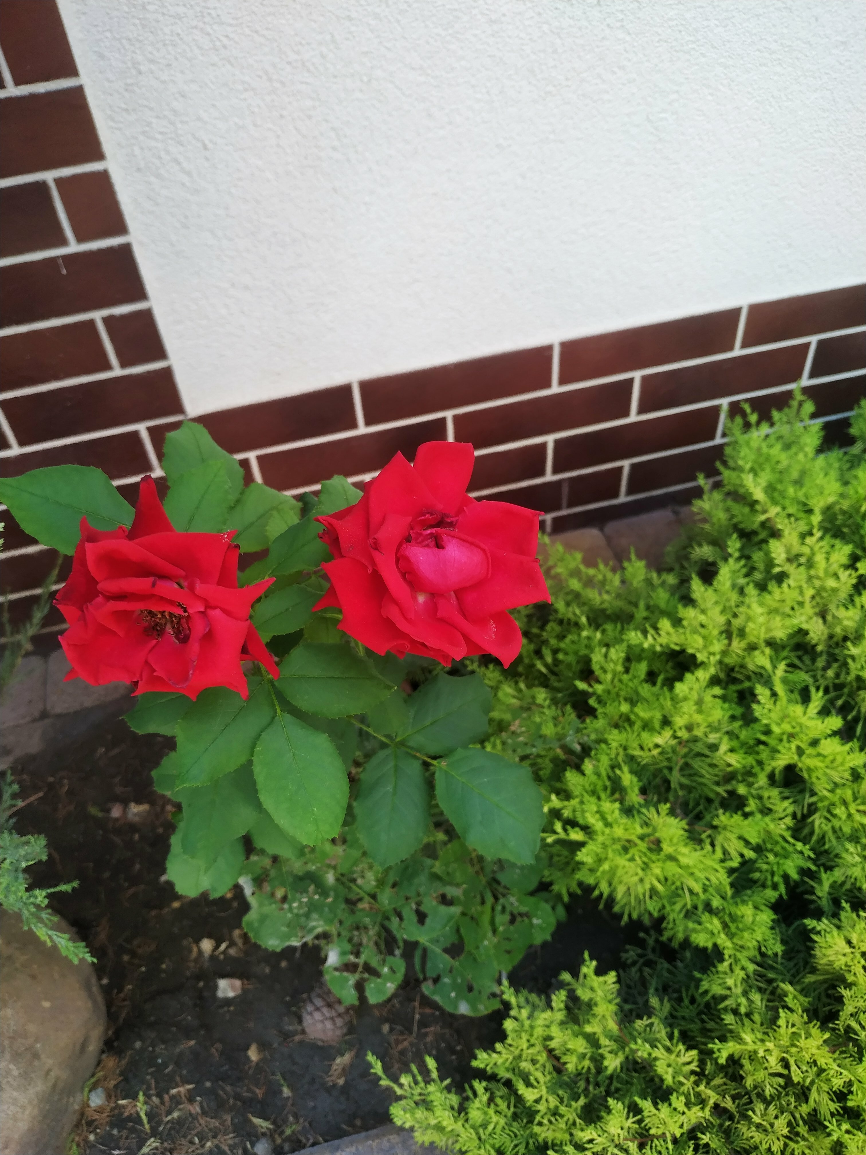 Фото Морские врата