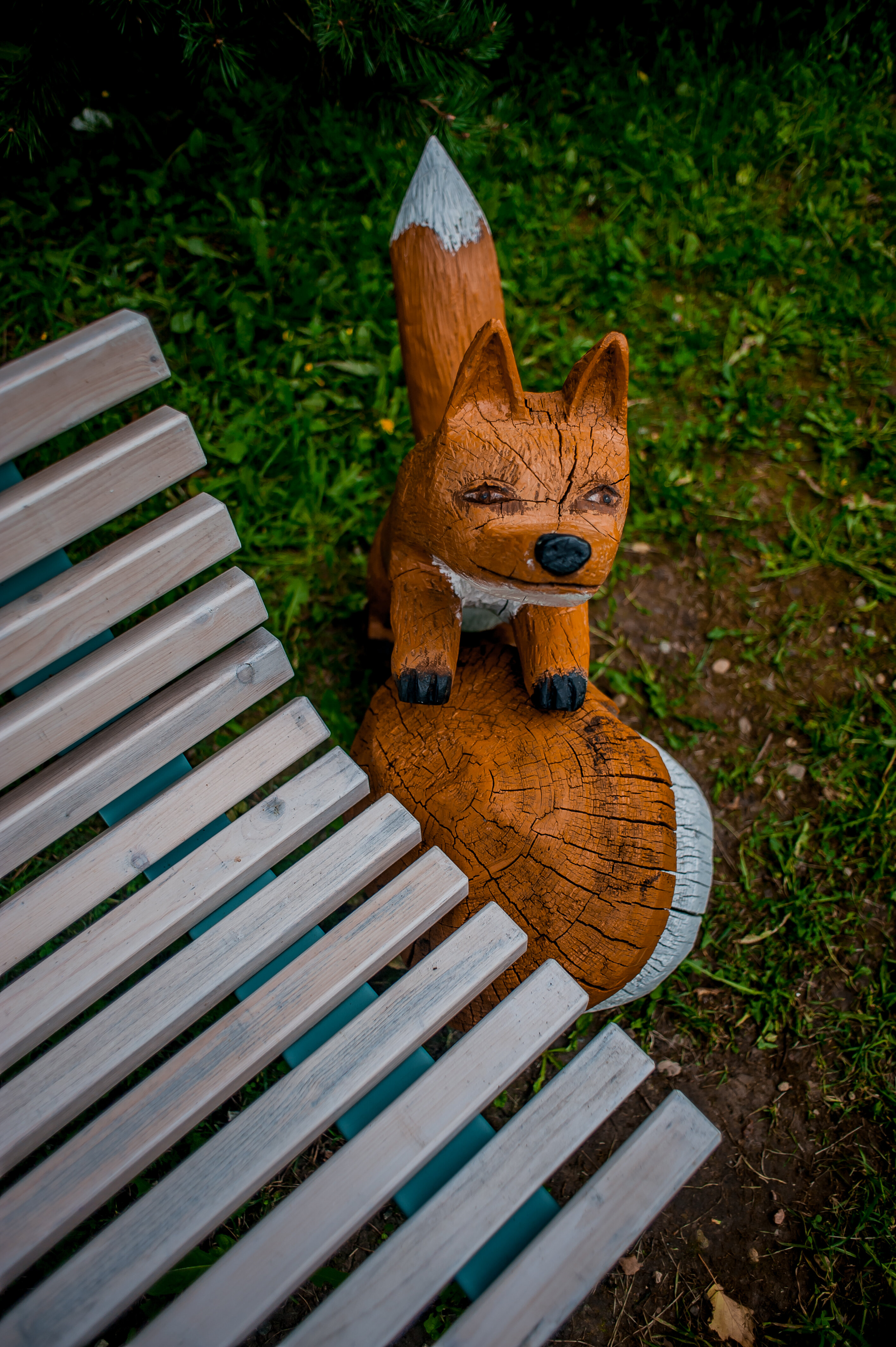 Фото Родник