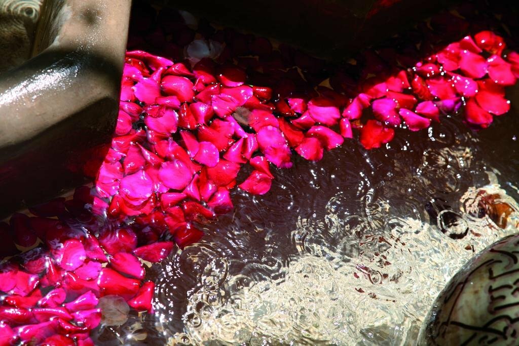 Фото Riad Ifoulki