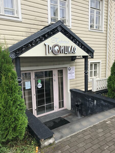 Троицкий