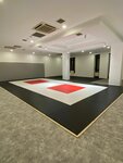 Titan bjj (Bolshaya Filyovskaya Street, 20), sports club