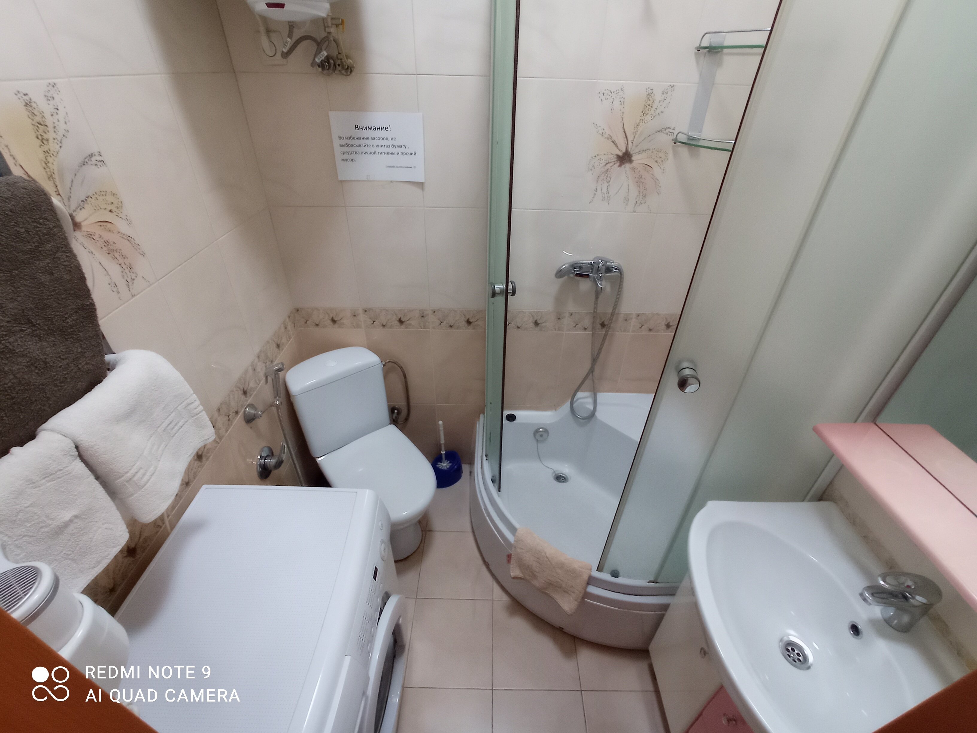 Фото Алупка Роза