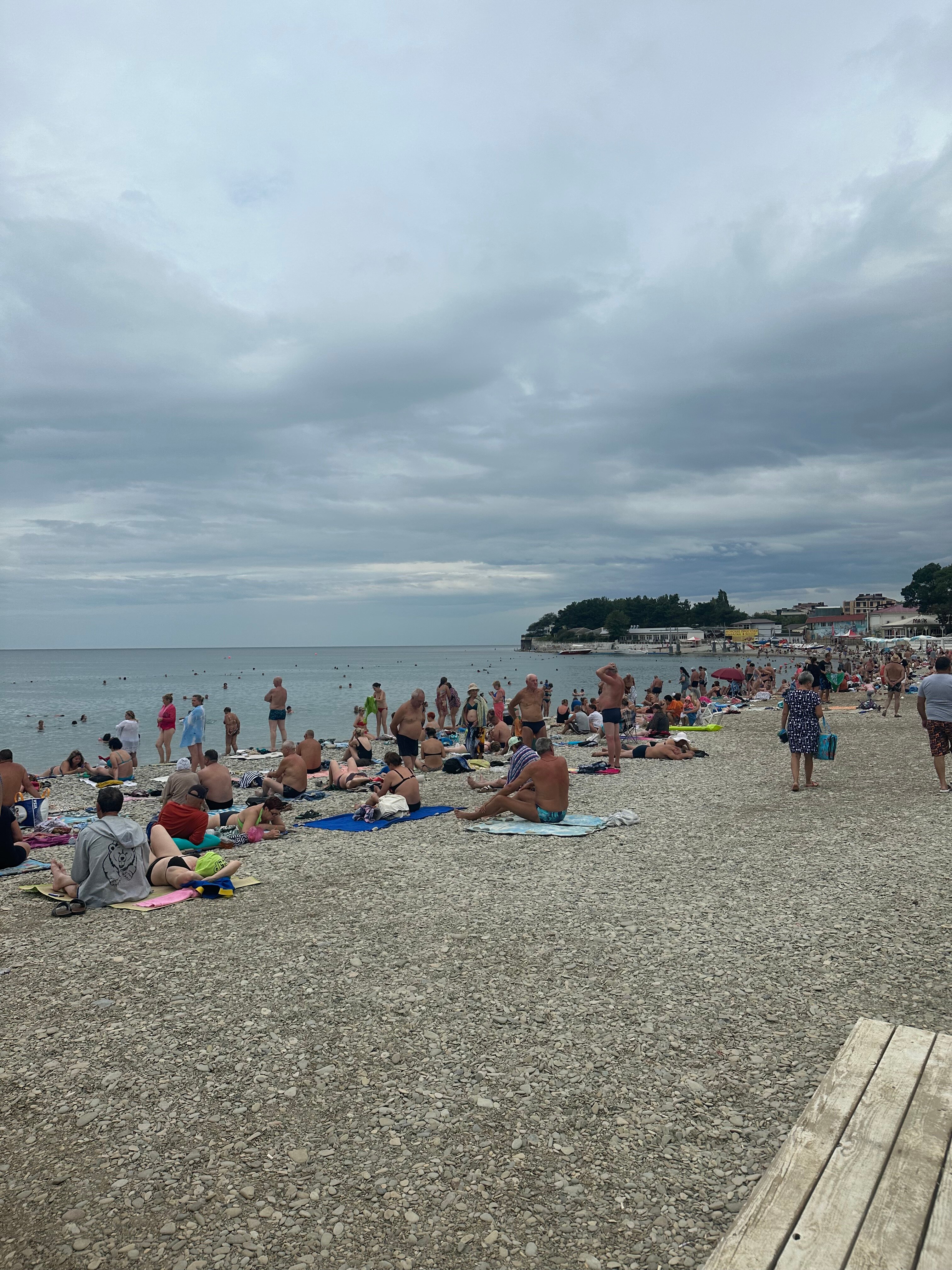 Фото Кипарис