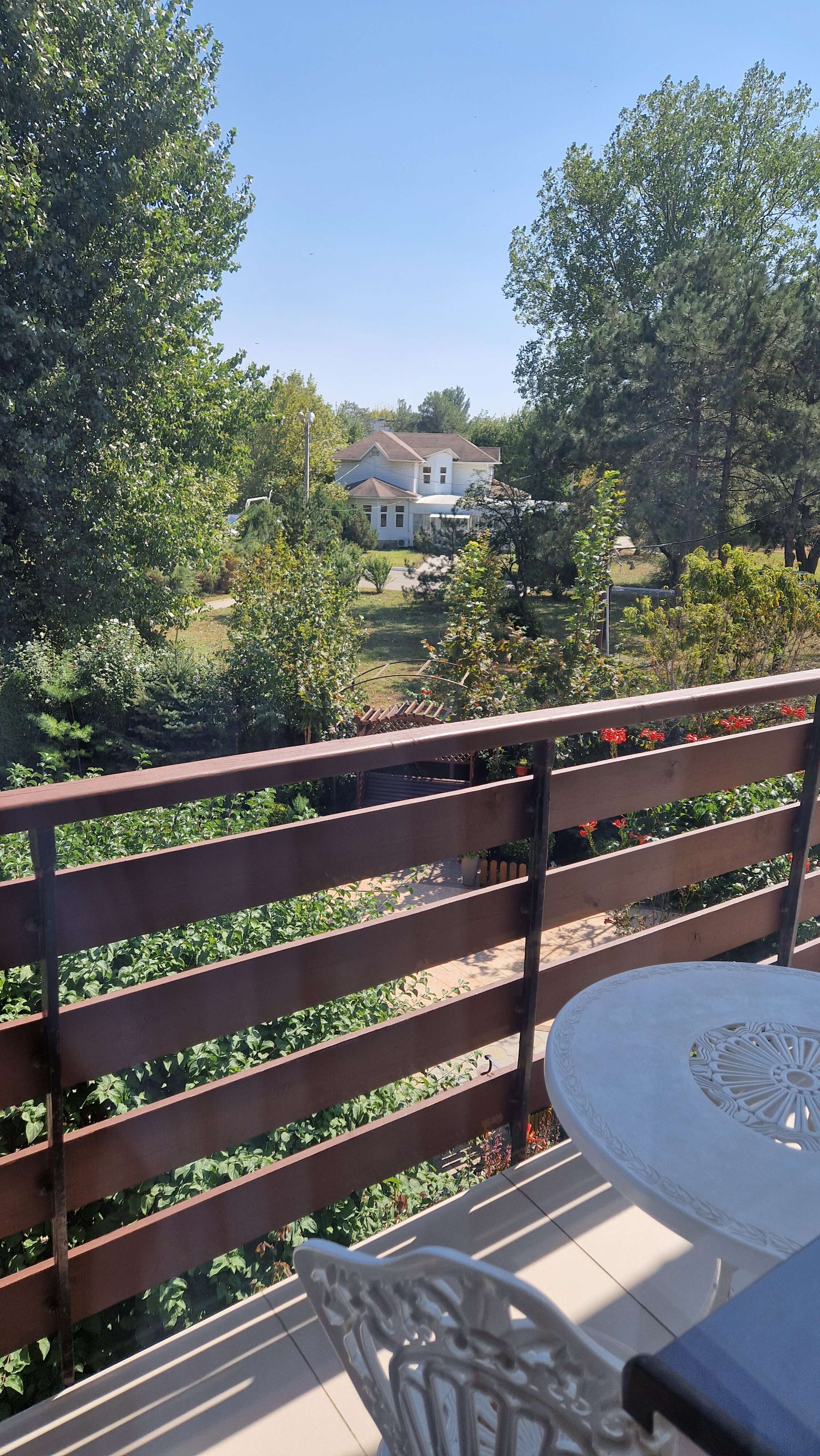 Фото Морские Рифы