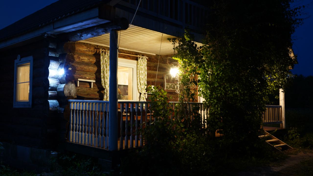 Фото Вьюлка