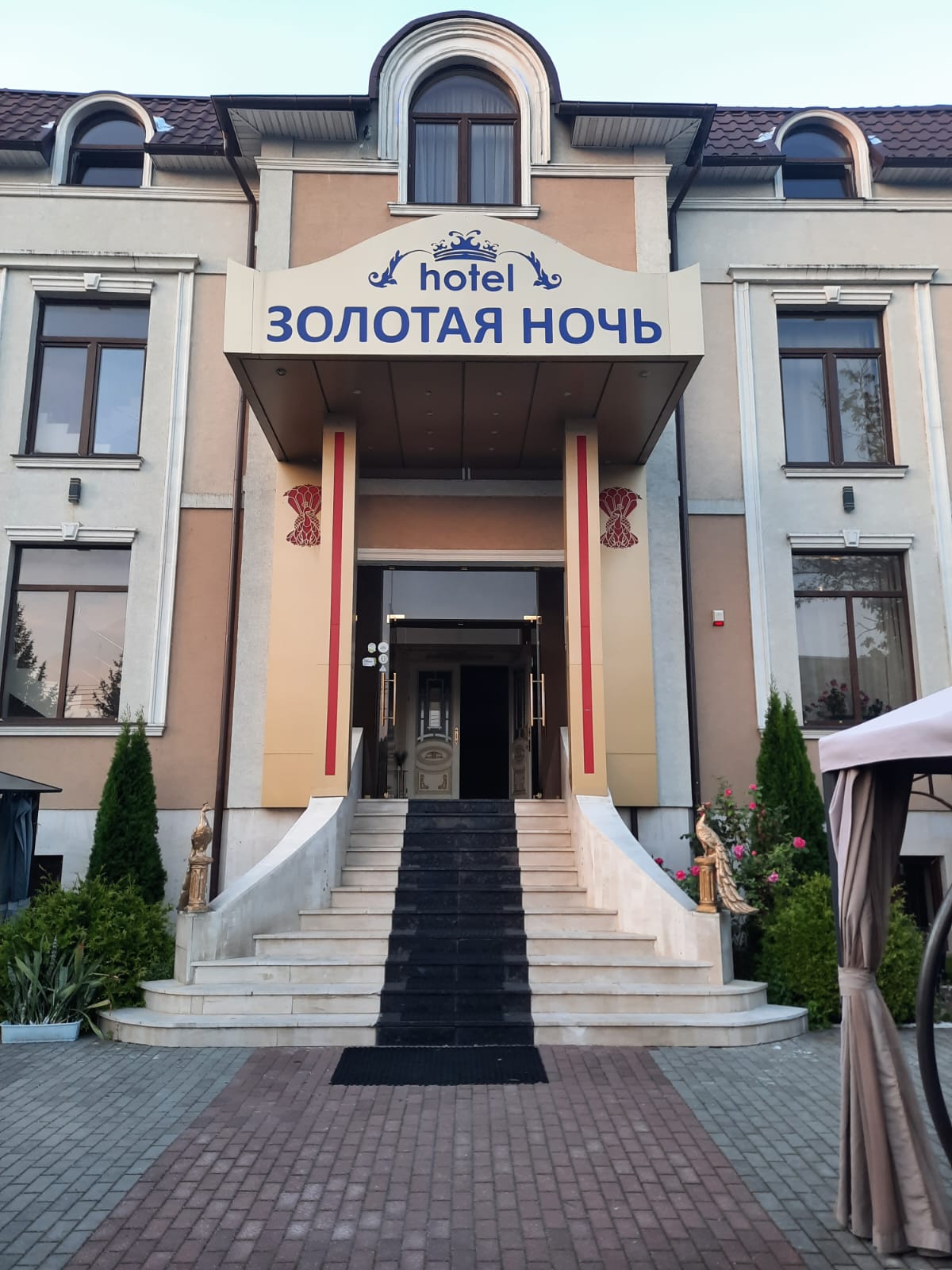 Фото Золотая ночь