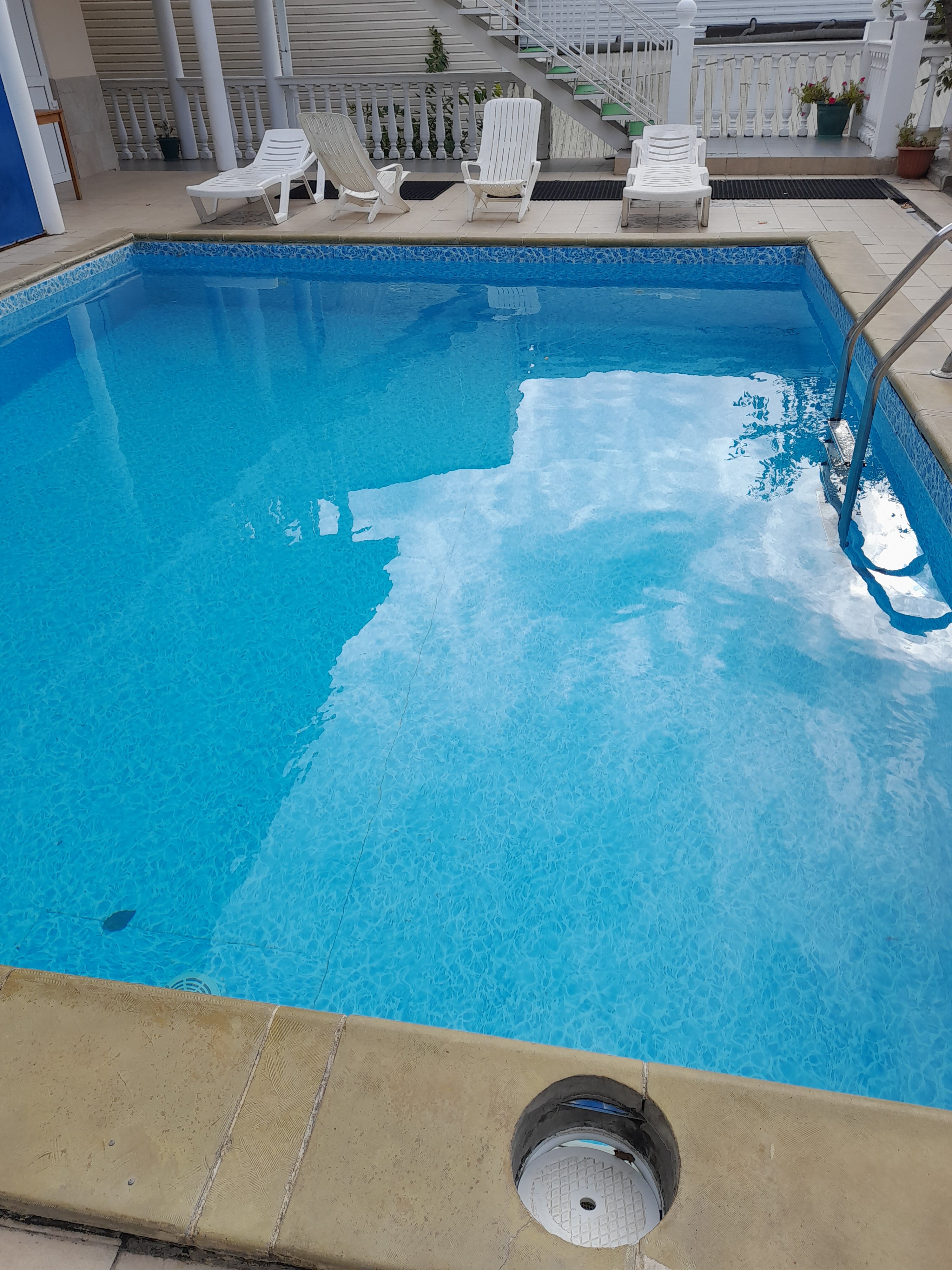 Фото Дельфин