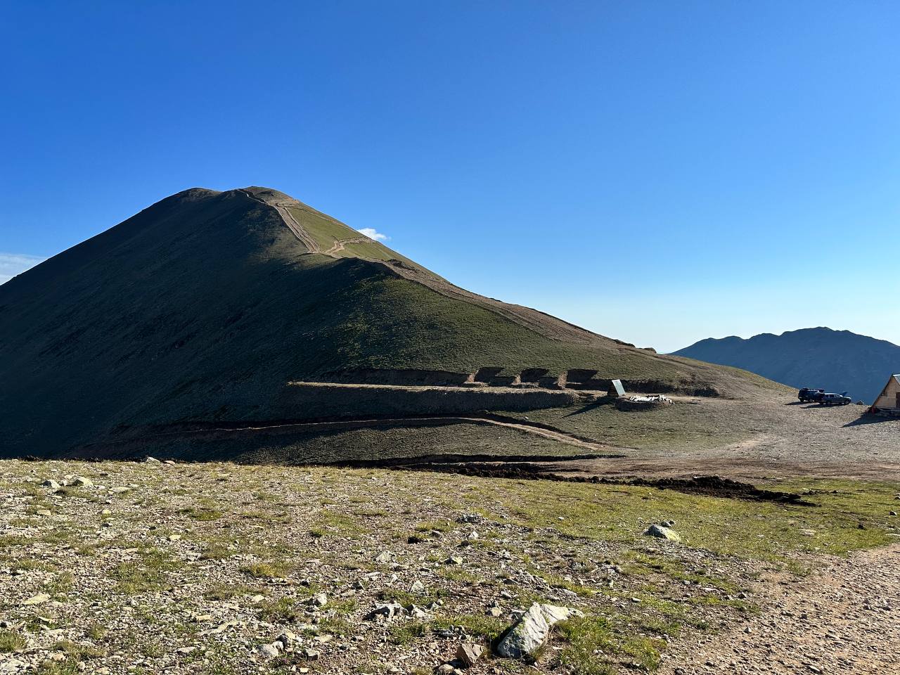 Фото Шафран