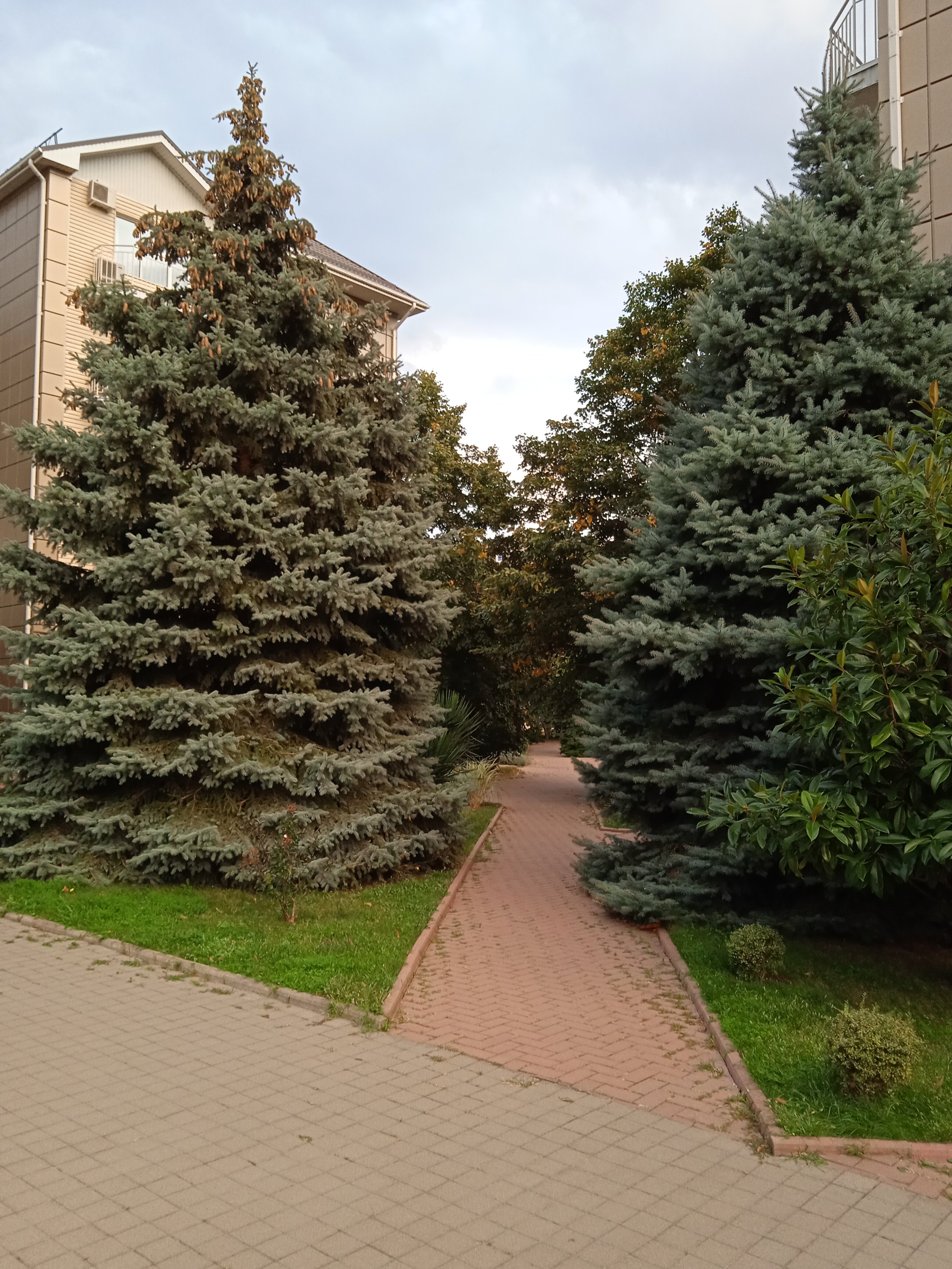 Фото Ола Резорт