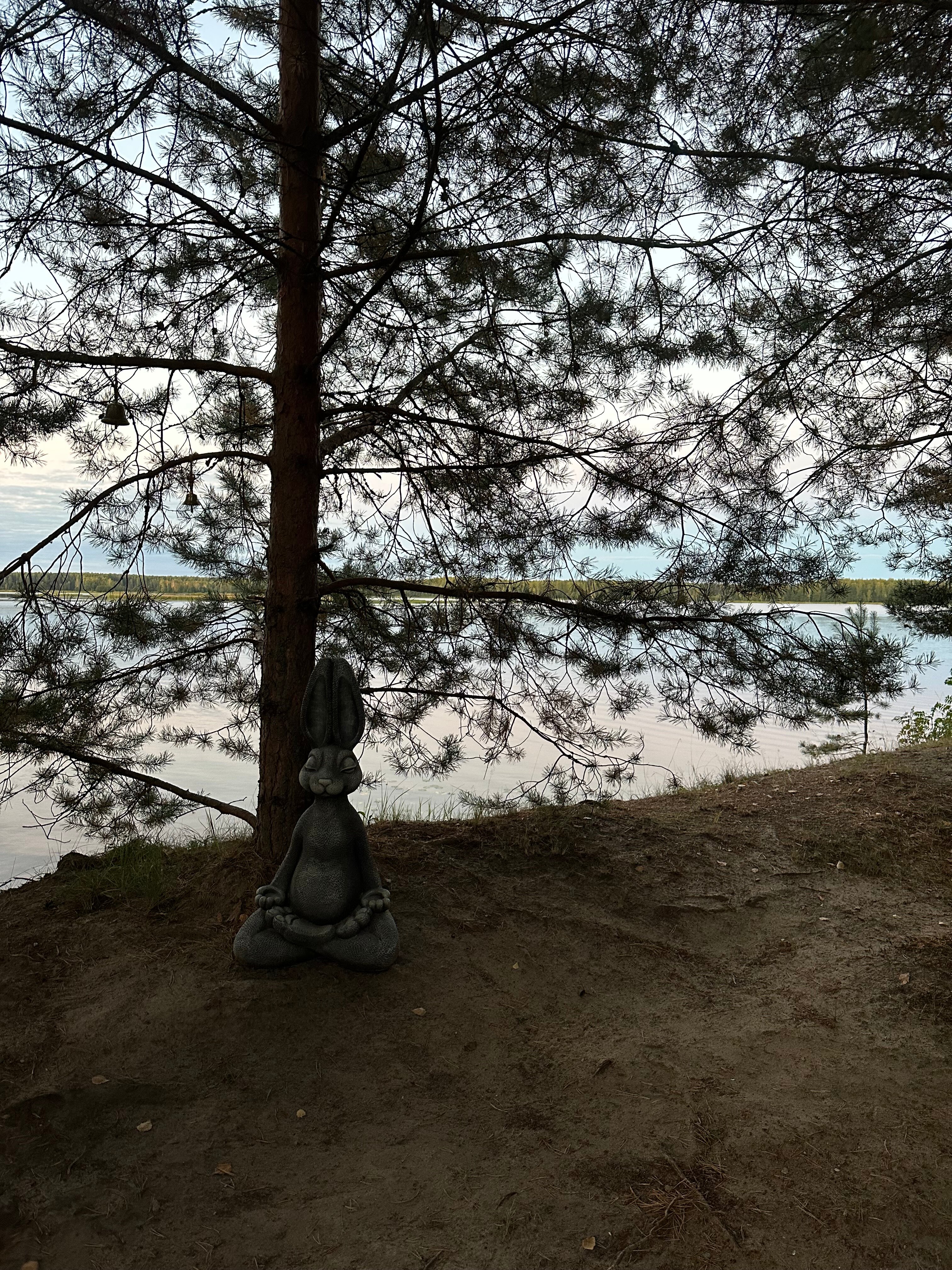 Фото Лунный Кролик