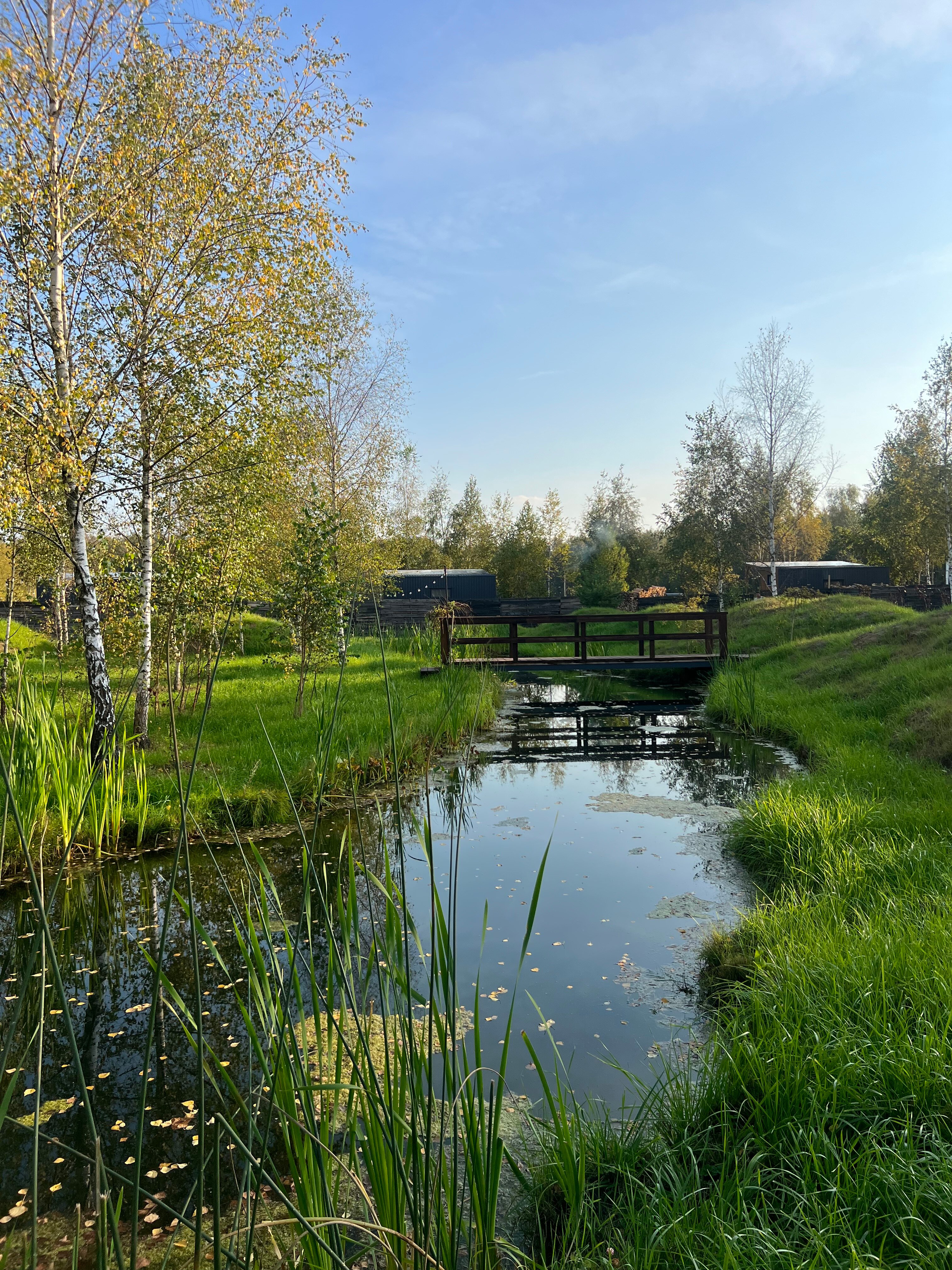 Фото В Поле