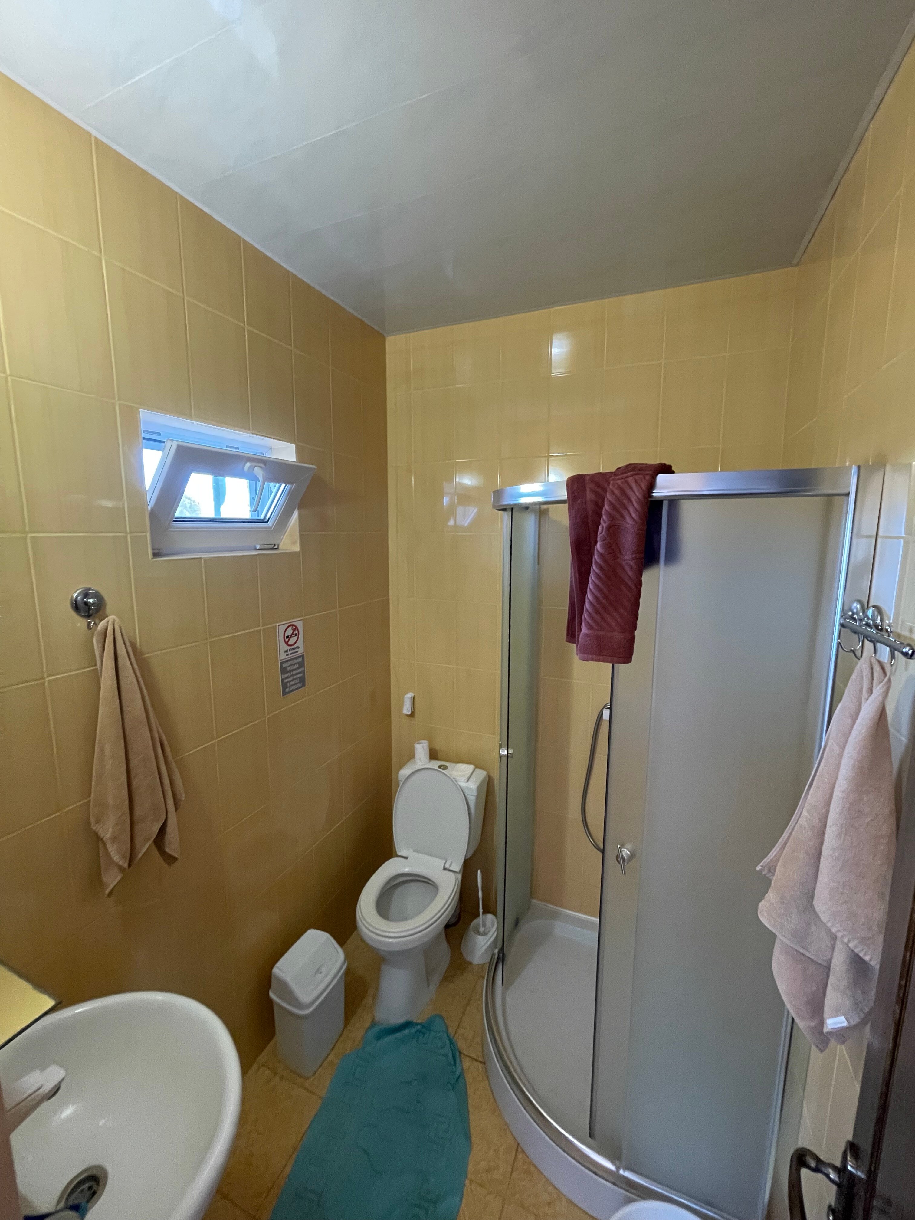 Фото Магнолия