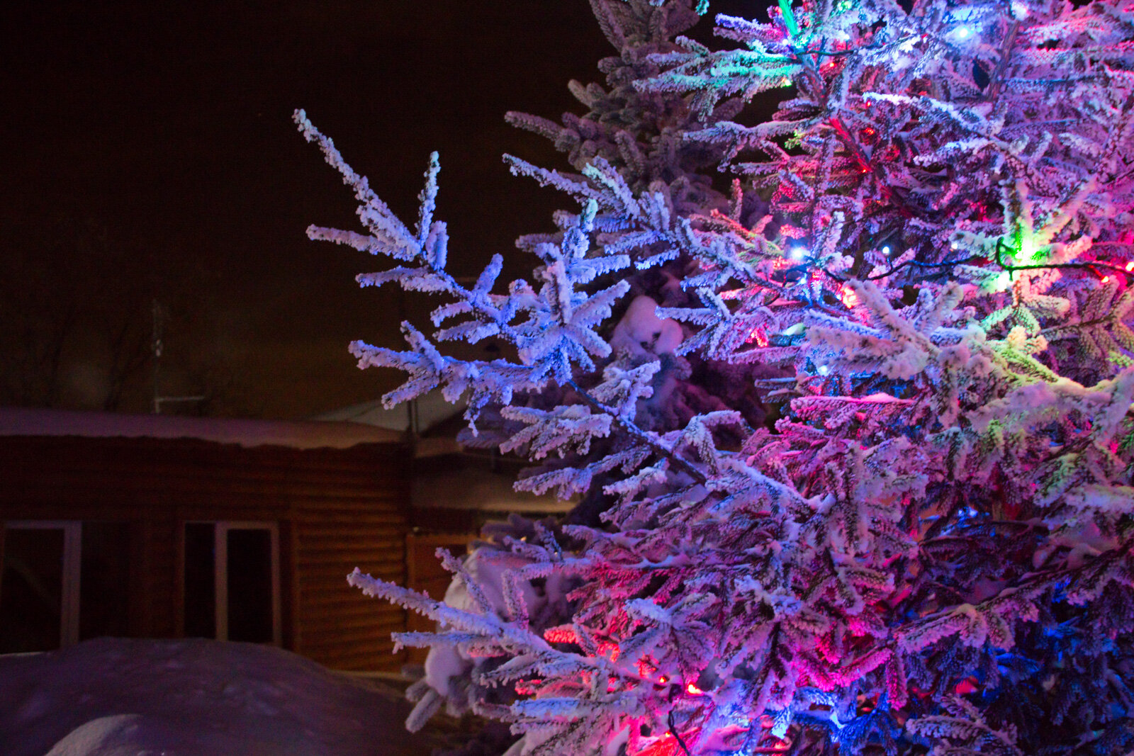 Фото Десятка