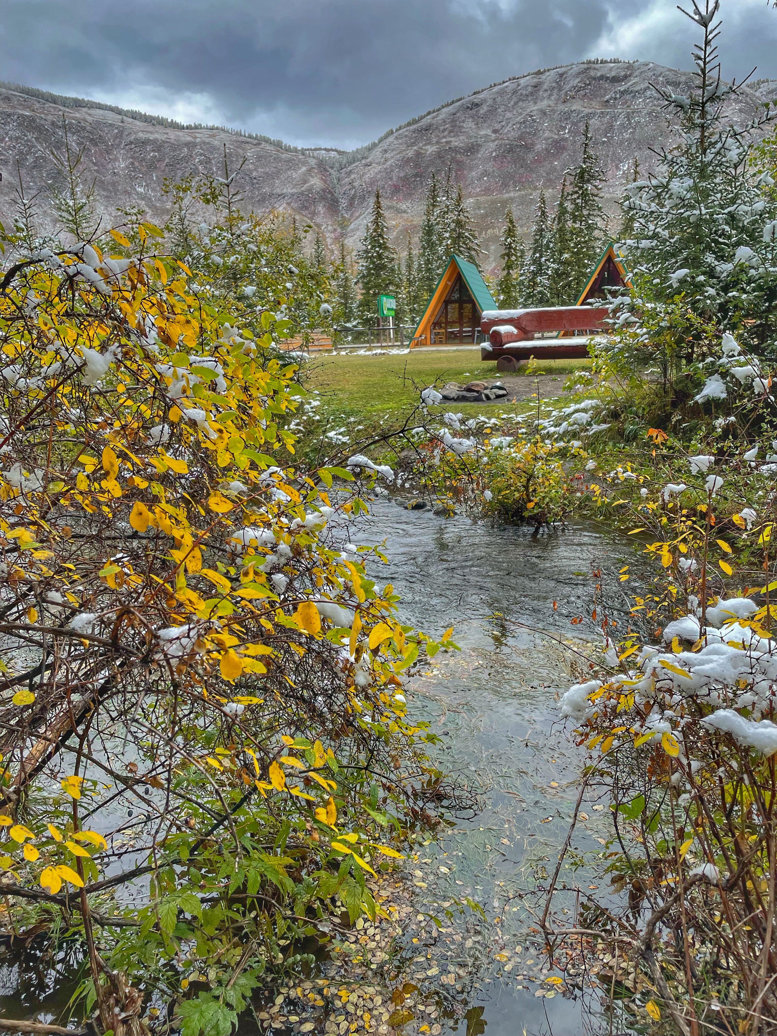 Фото Зелёный колобок