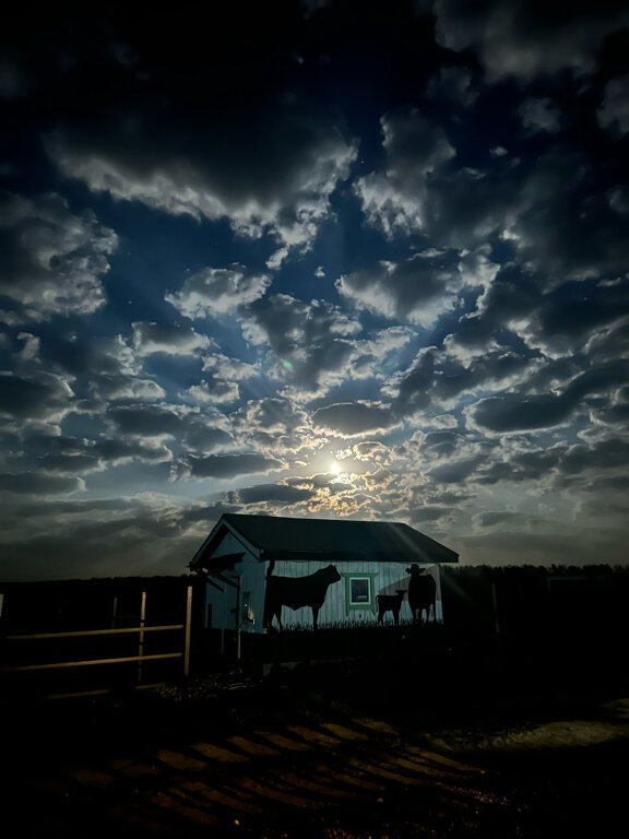 Фото Гастроранчо Хэппи Фарм