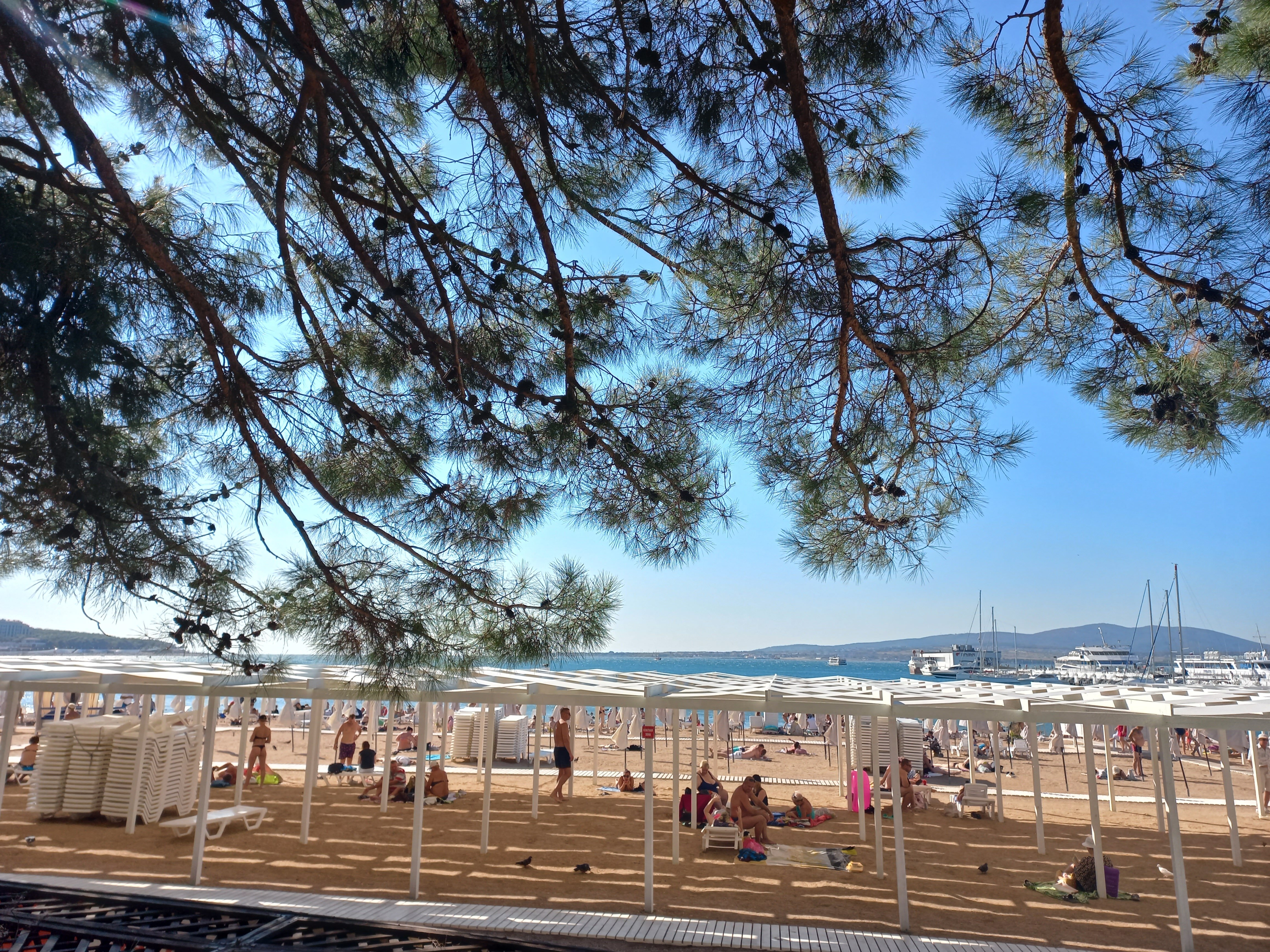 Фото Гостевой дом Лиана