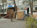 Какаду (2-shi shaǵyn aýdan, 2), pet shop
