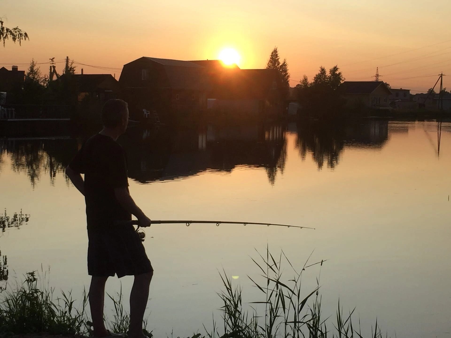 Фото Ромашковая