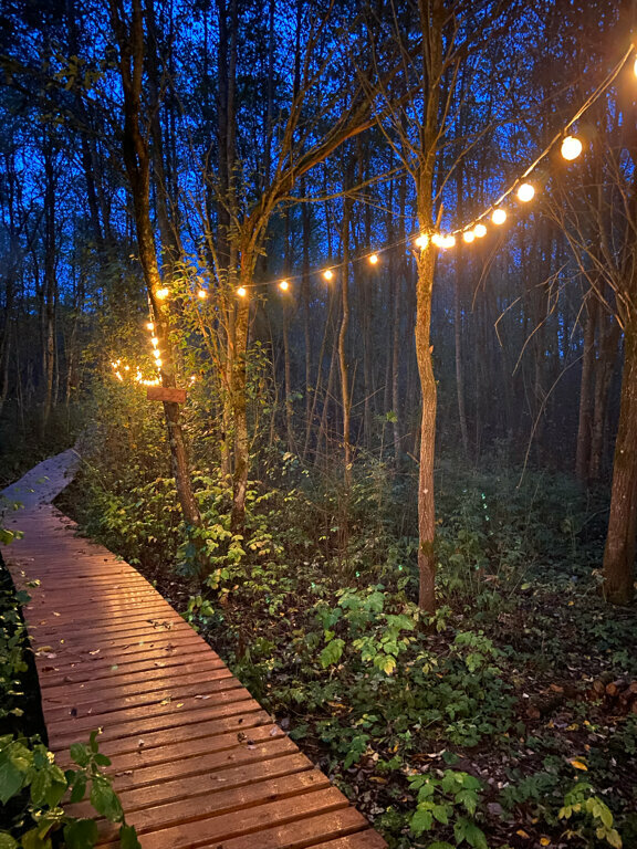 Forest Glamp — фото 4