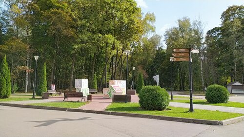 Парк культуры и отдыха Центральный парк культуры и отдыха имени П. П. Белоусова, Тула, фото