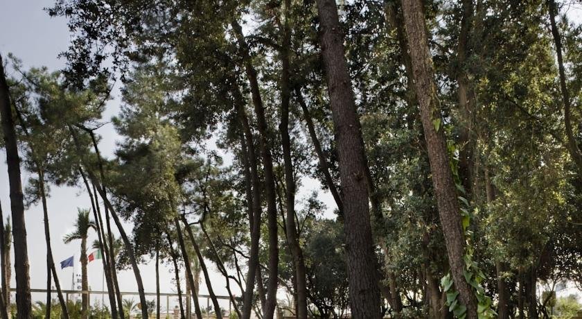 Фото Versilia Lido Una Esperienze