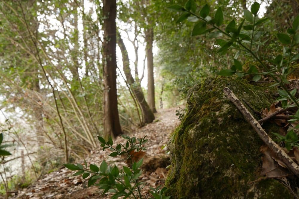 Фото Villa San Lucchese Hotel