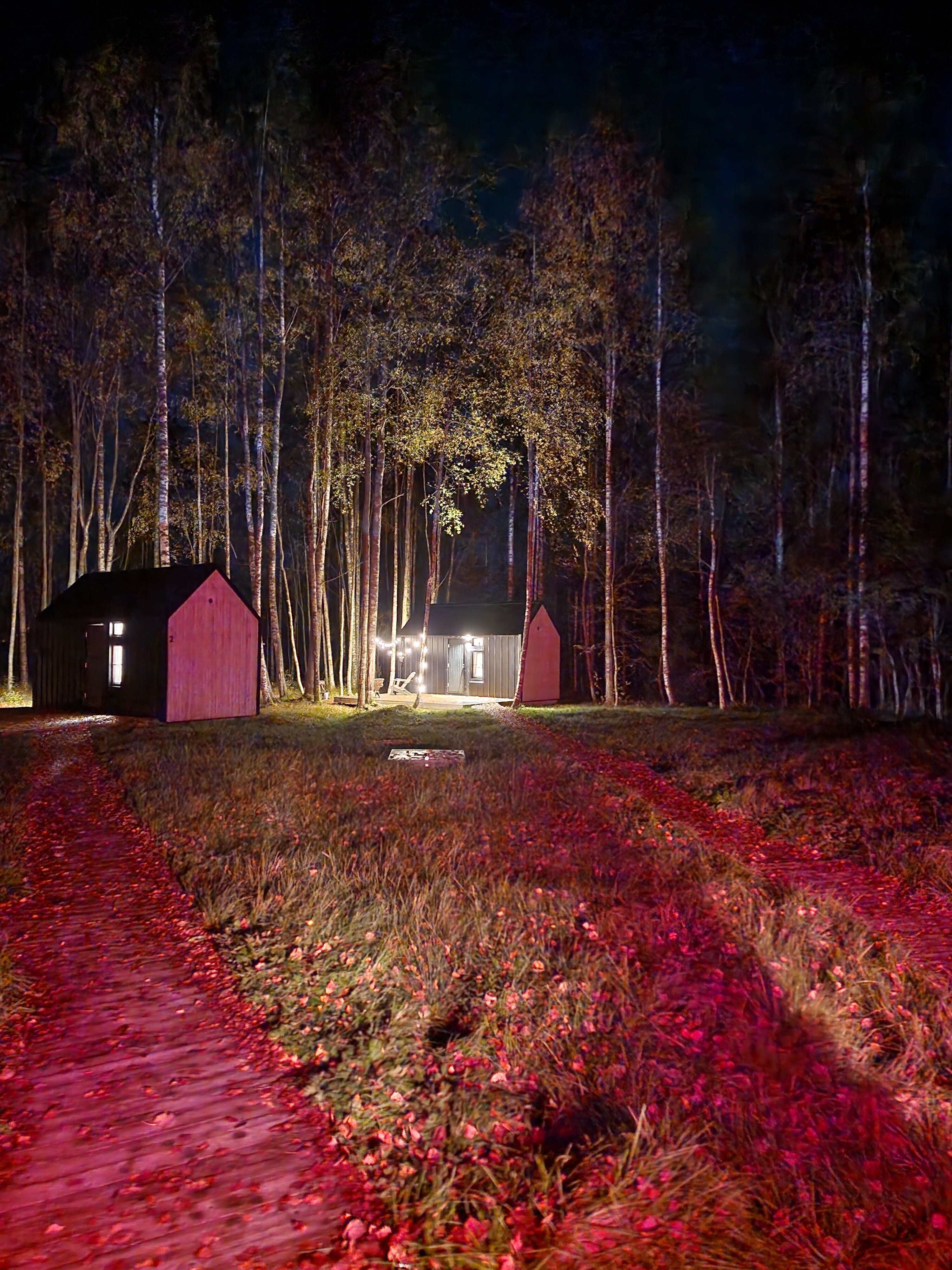 Фото Коттеджи Матриярви