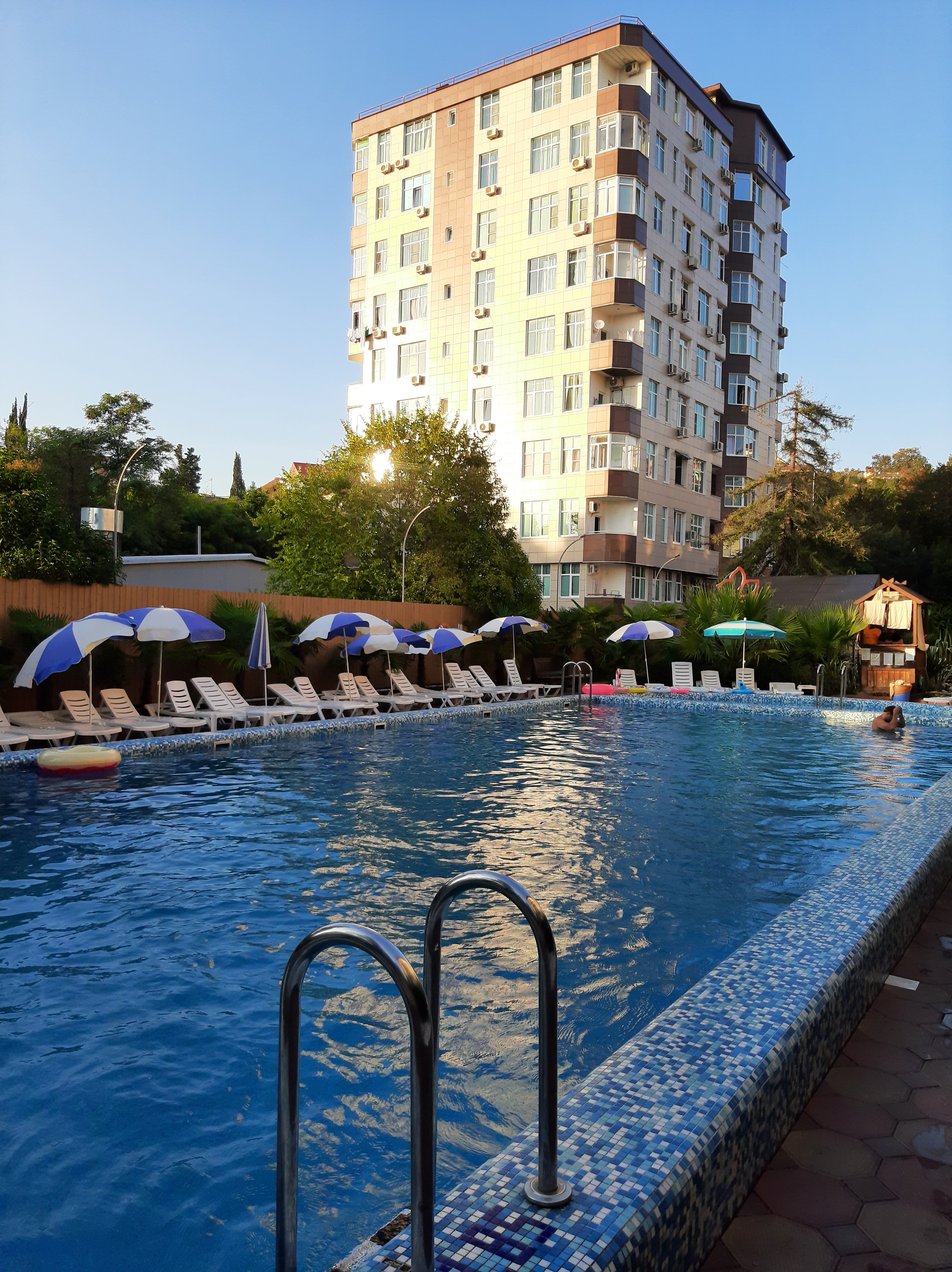 Фото Азалия