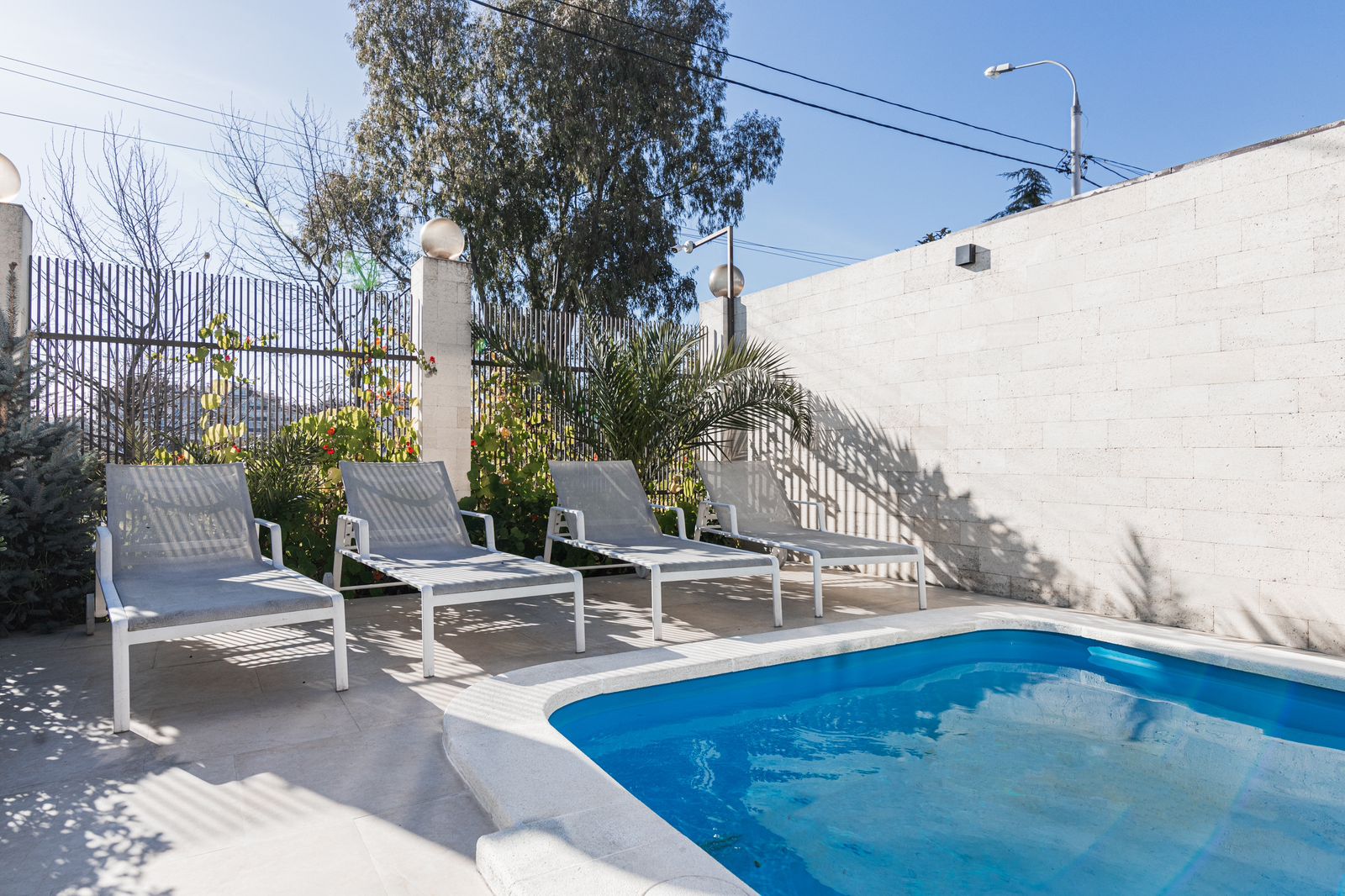 Фото Сафино Сириус