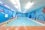 Kitenok (Novocheryomushkinskaya Street, 58), swimming pool