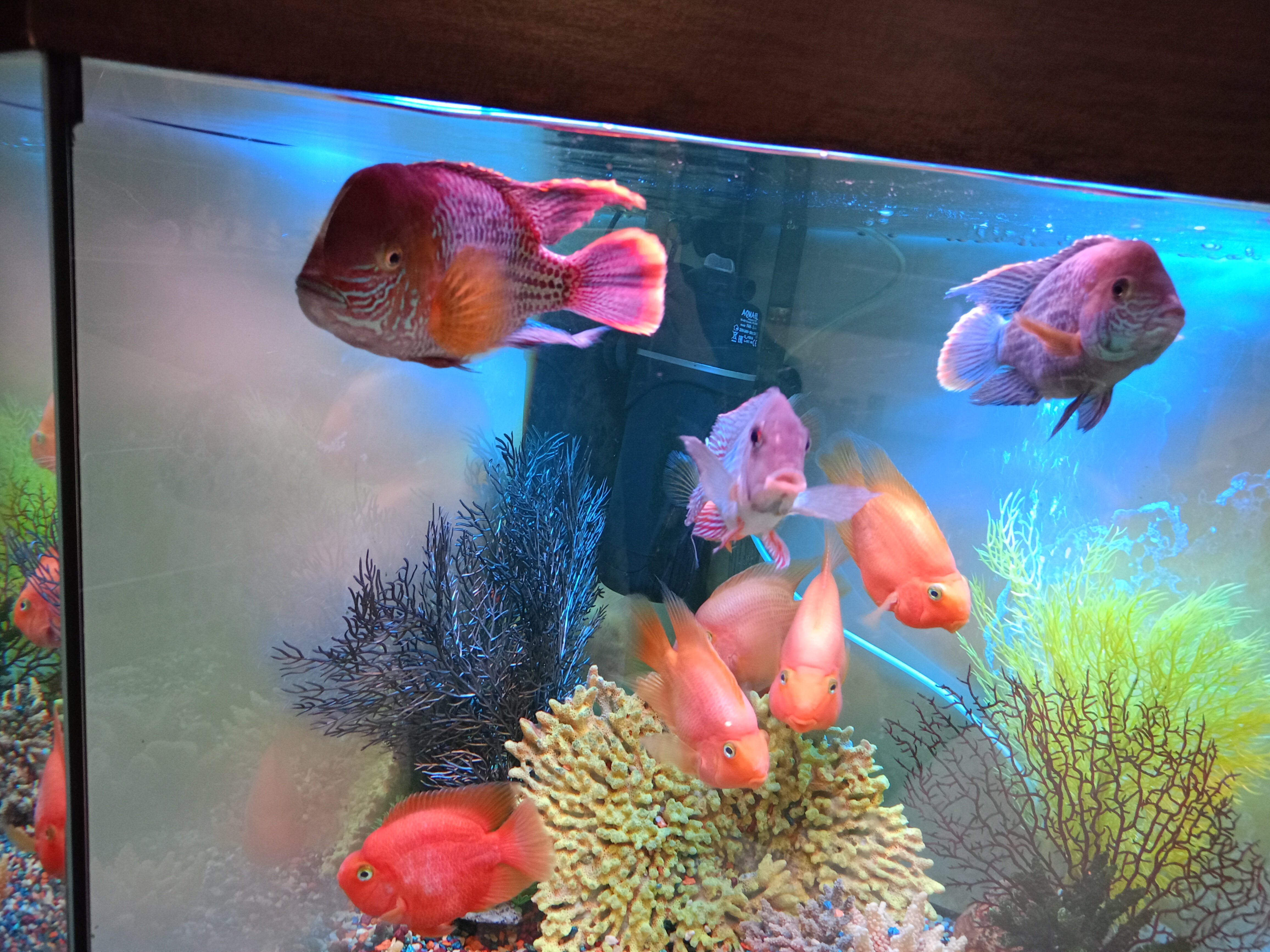 Фото Загреб