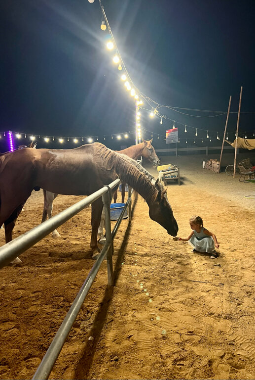 Фото Mirage Bab Al Bahar Hotel