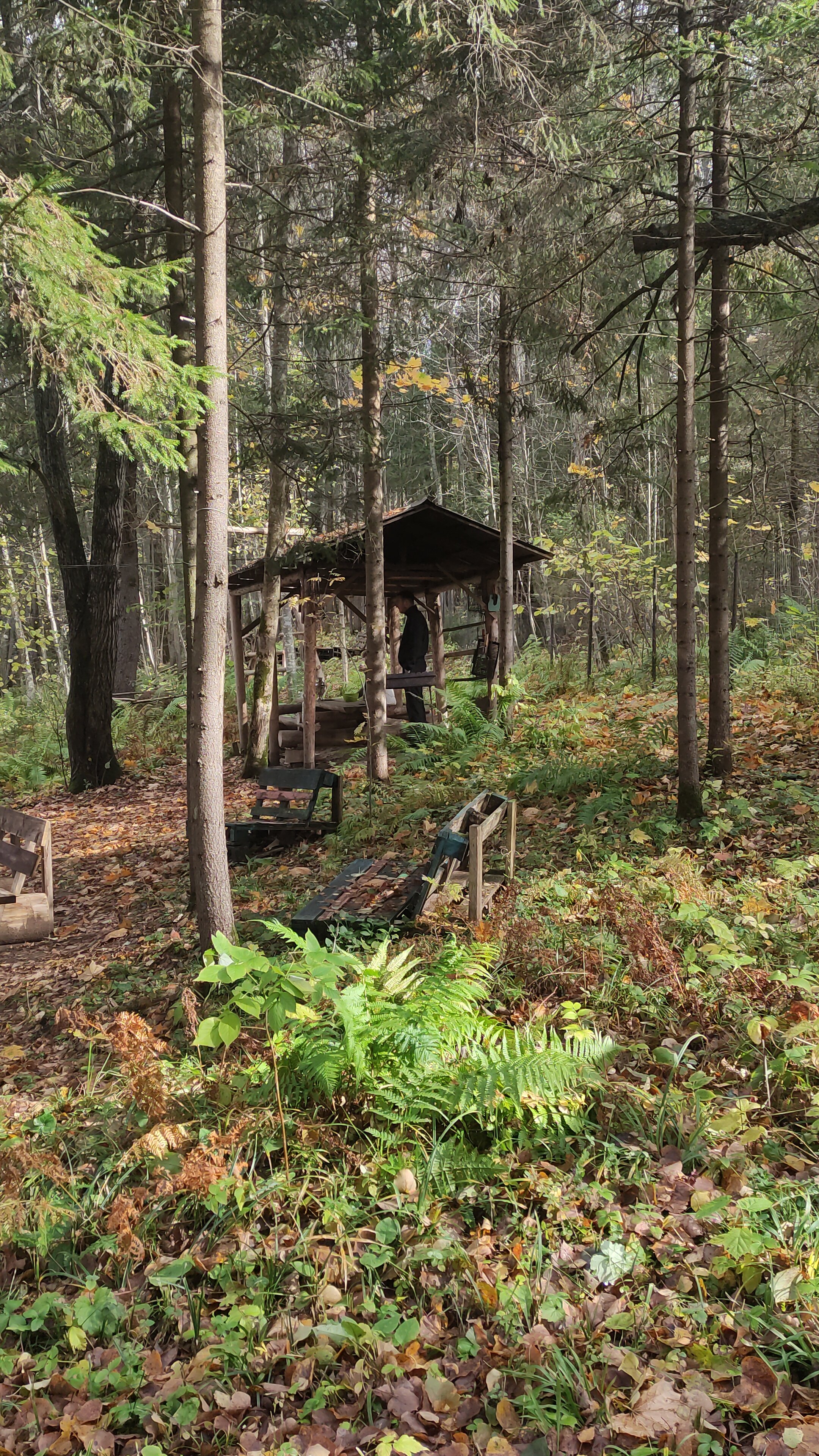 Фото У Лыжника