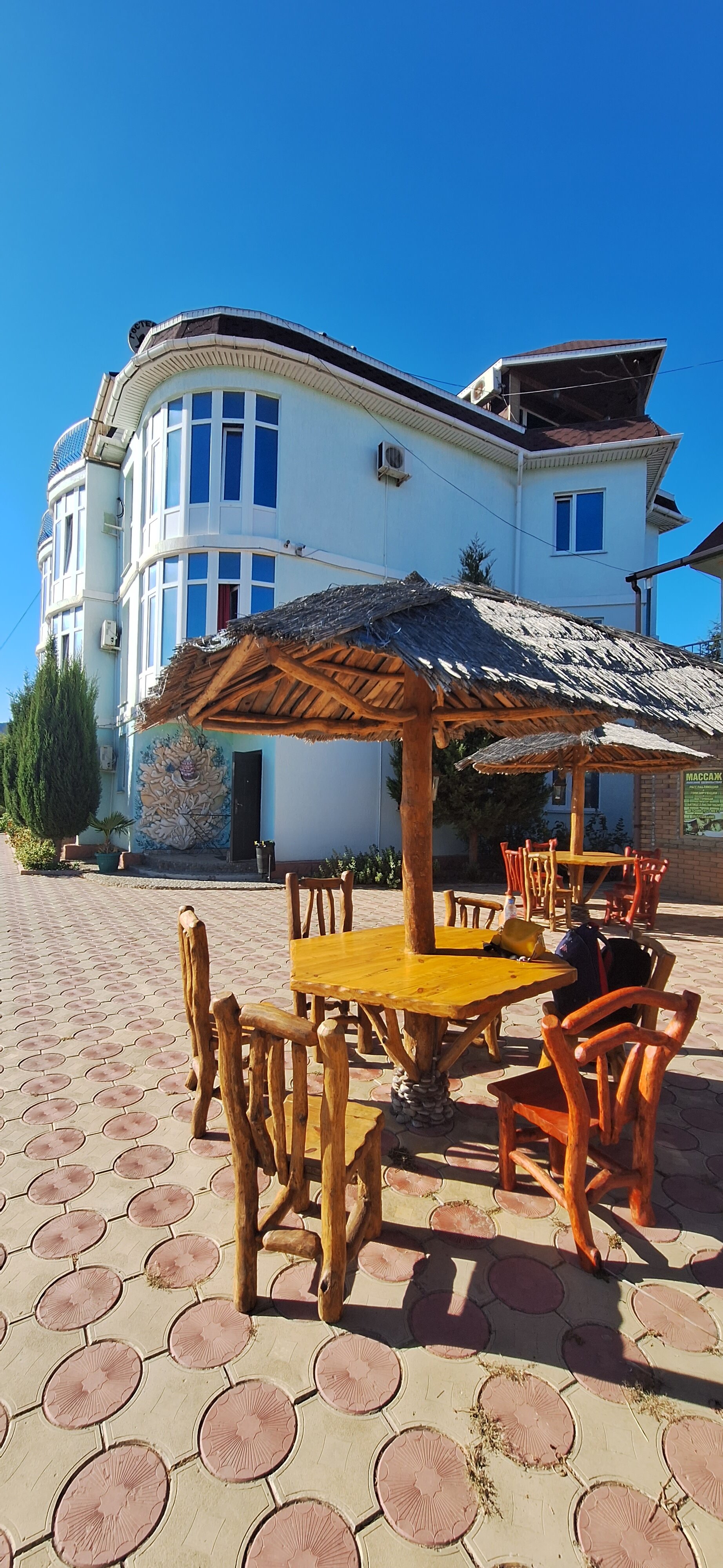 Фото Воробьиное гнездо