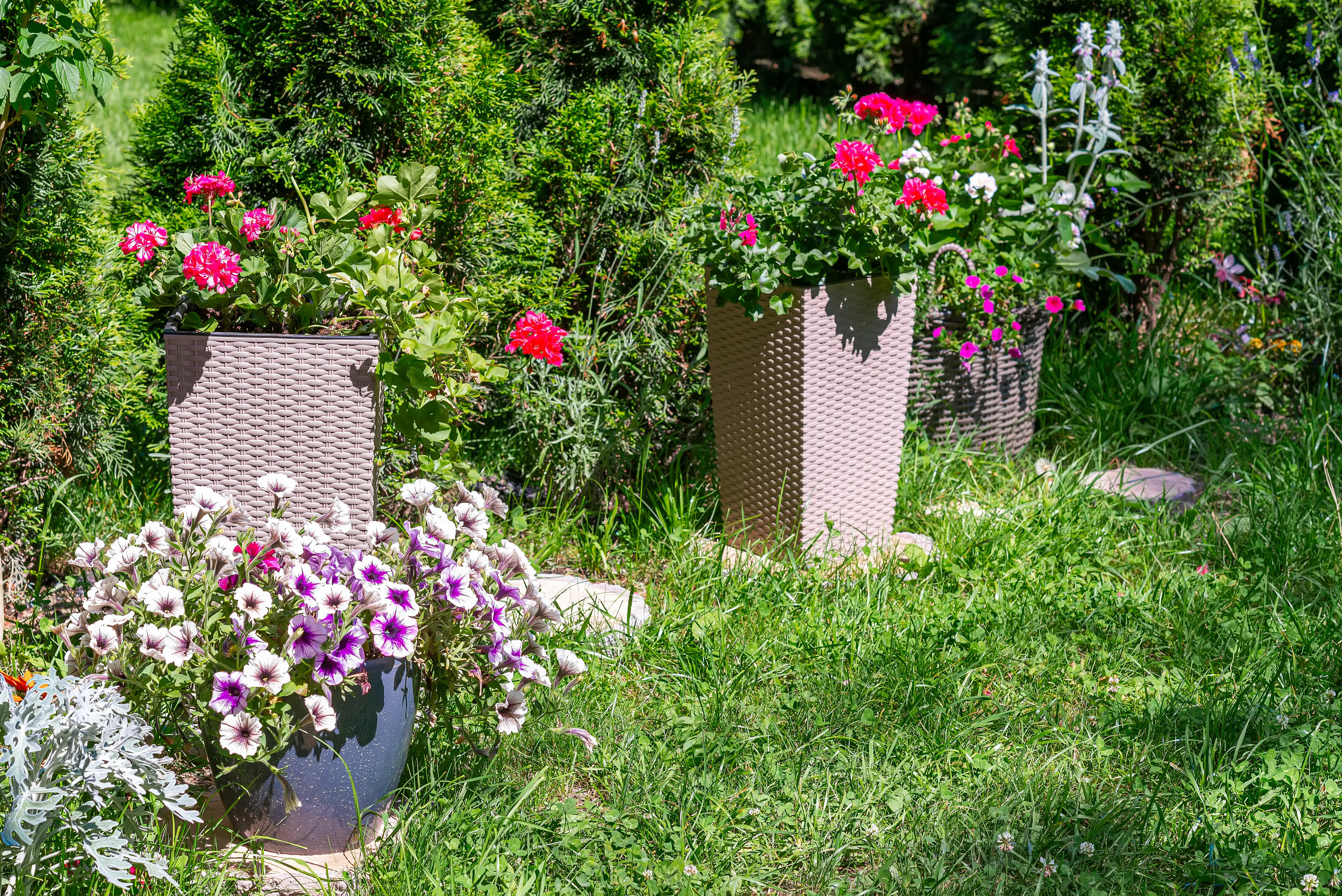 Фото Камин в снегах