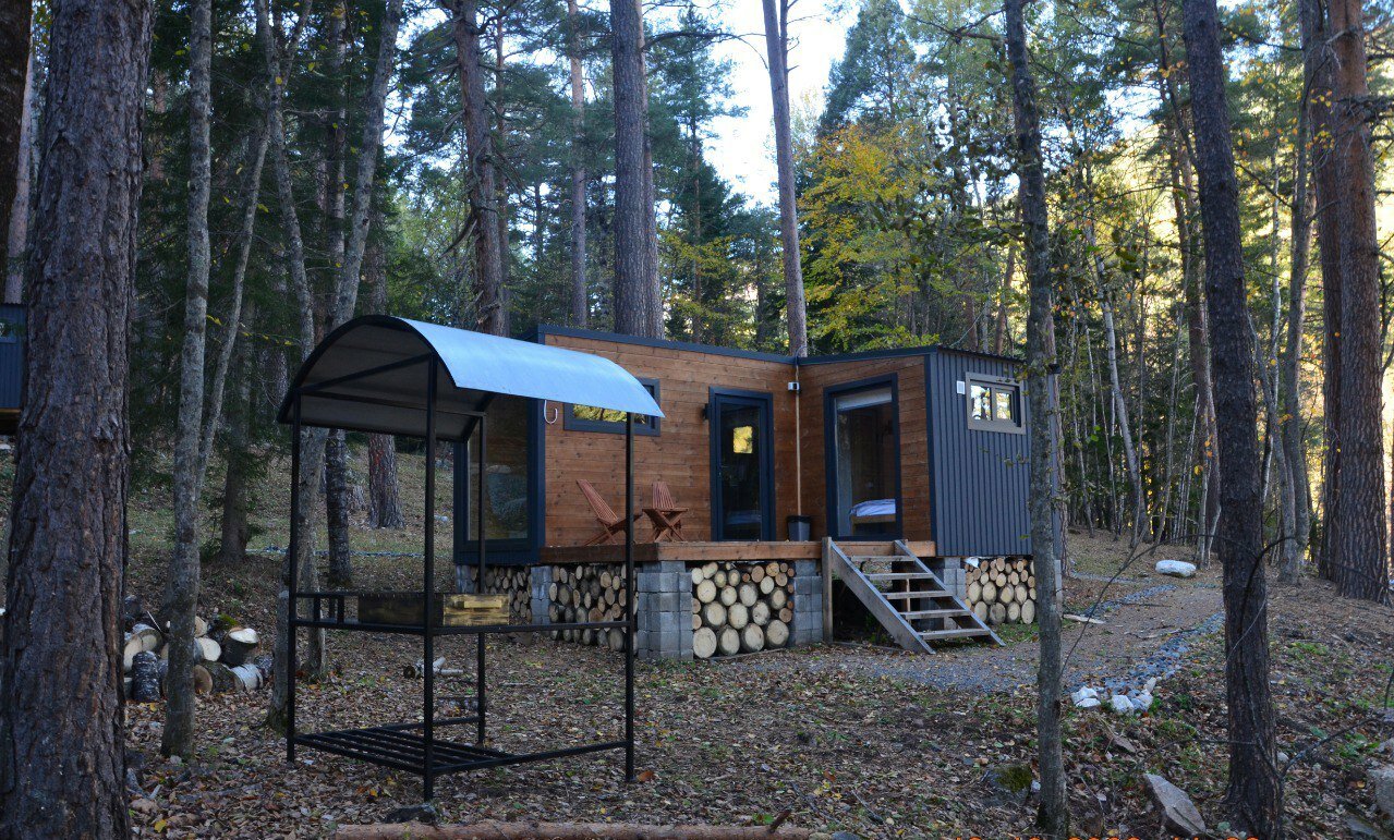 Фото Шелест