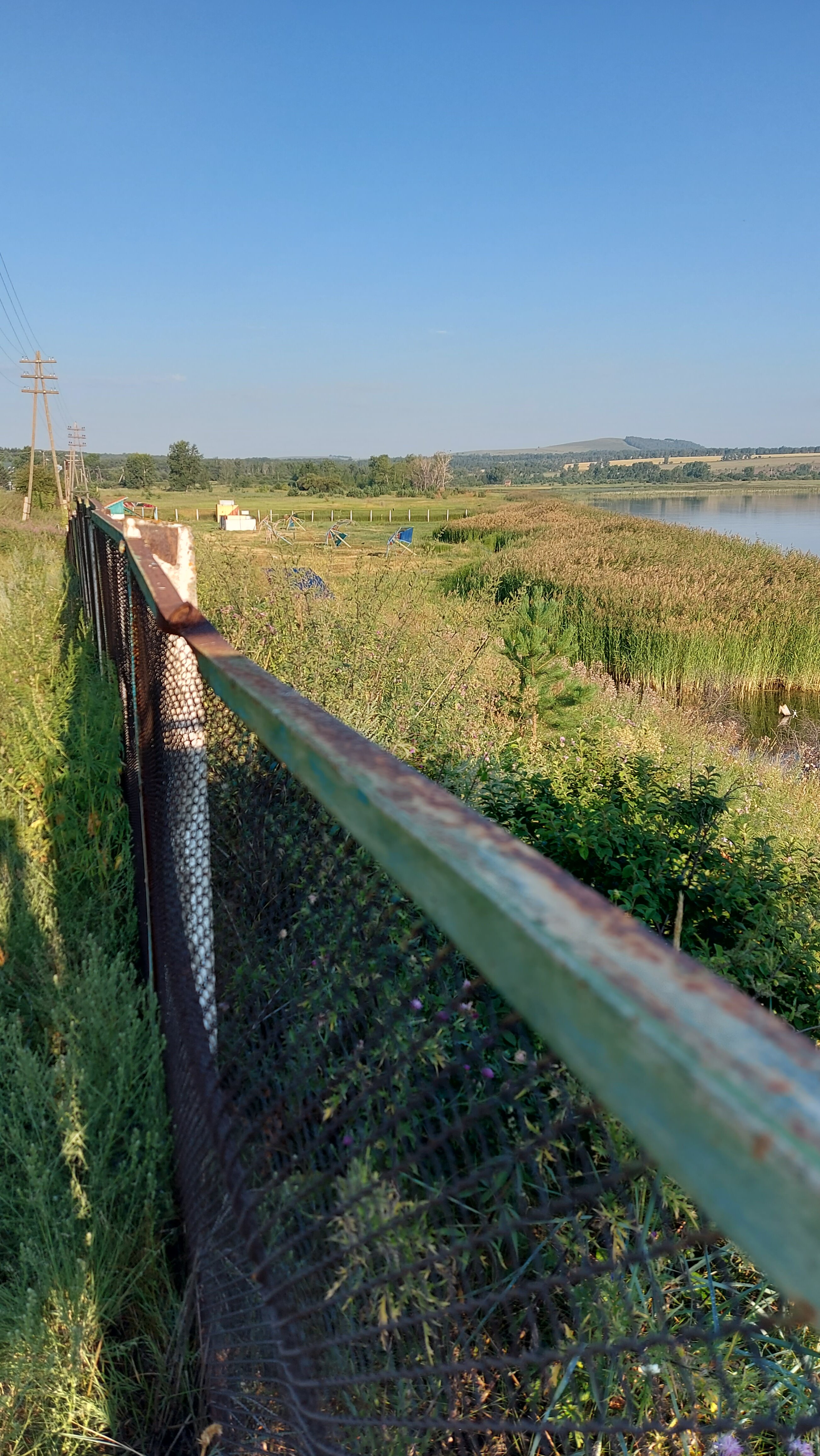 Фото Сосновый бор