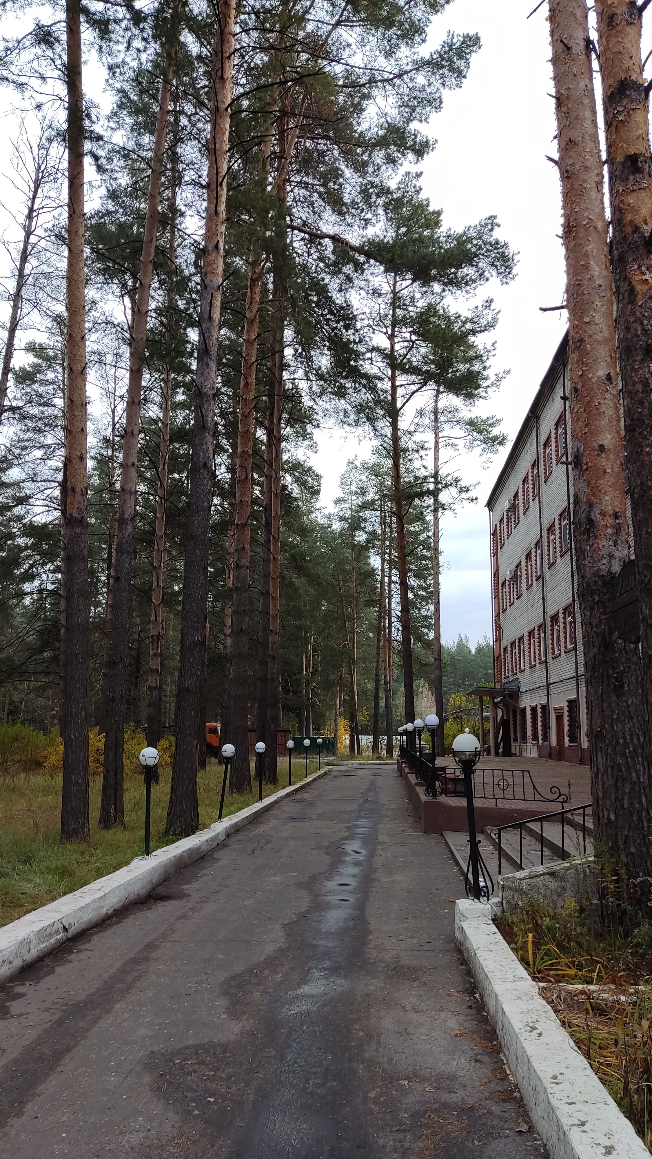 Фото Баринова роща