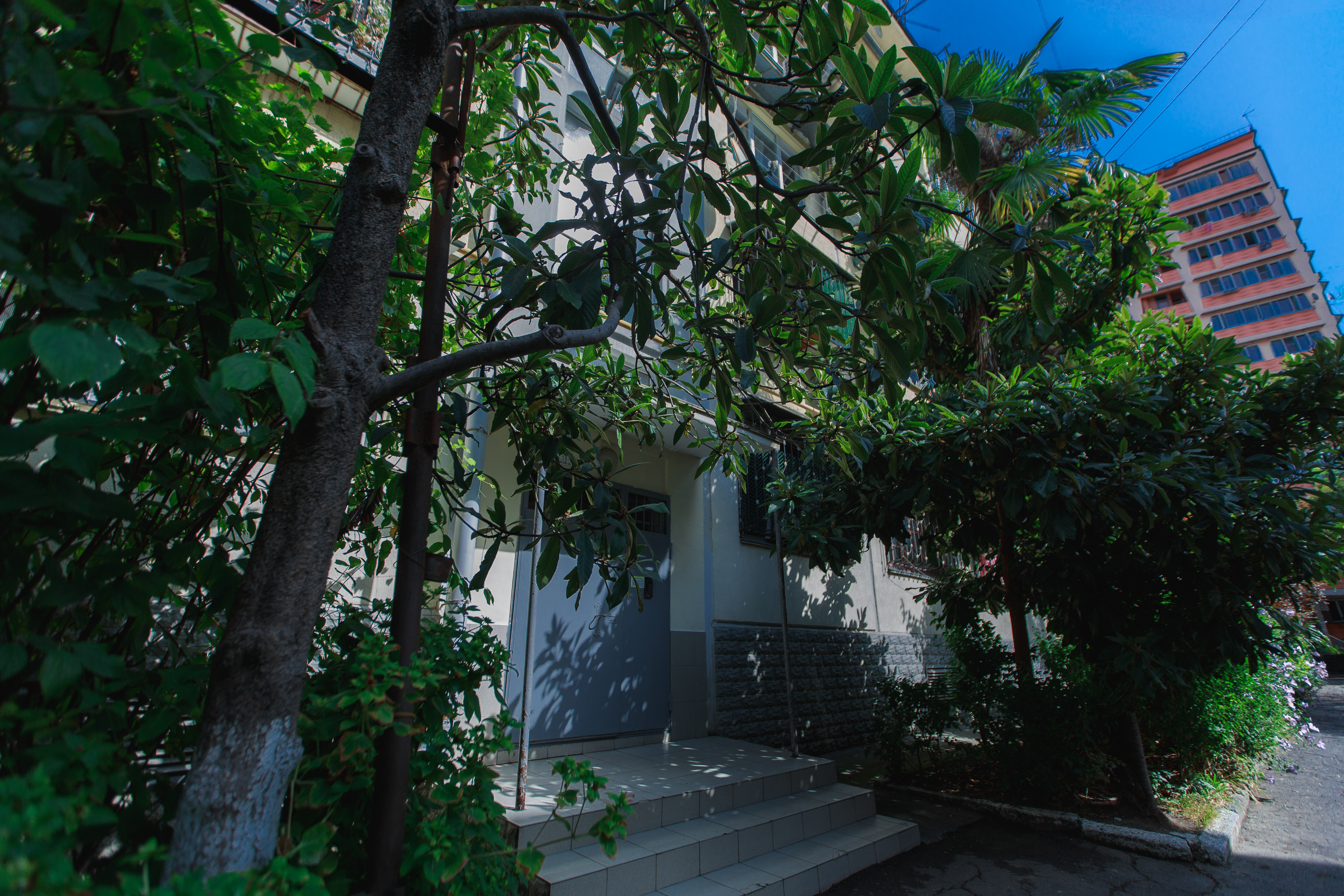 Фото Констиаль