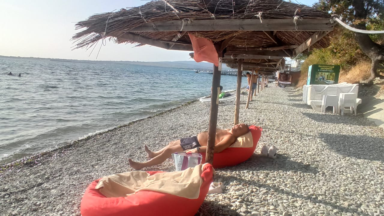 Фото Магнолия