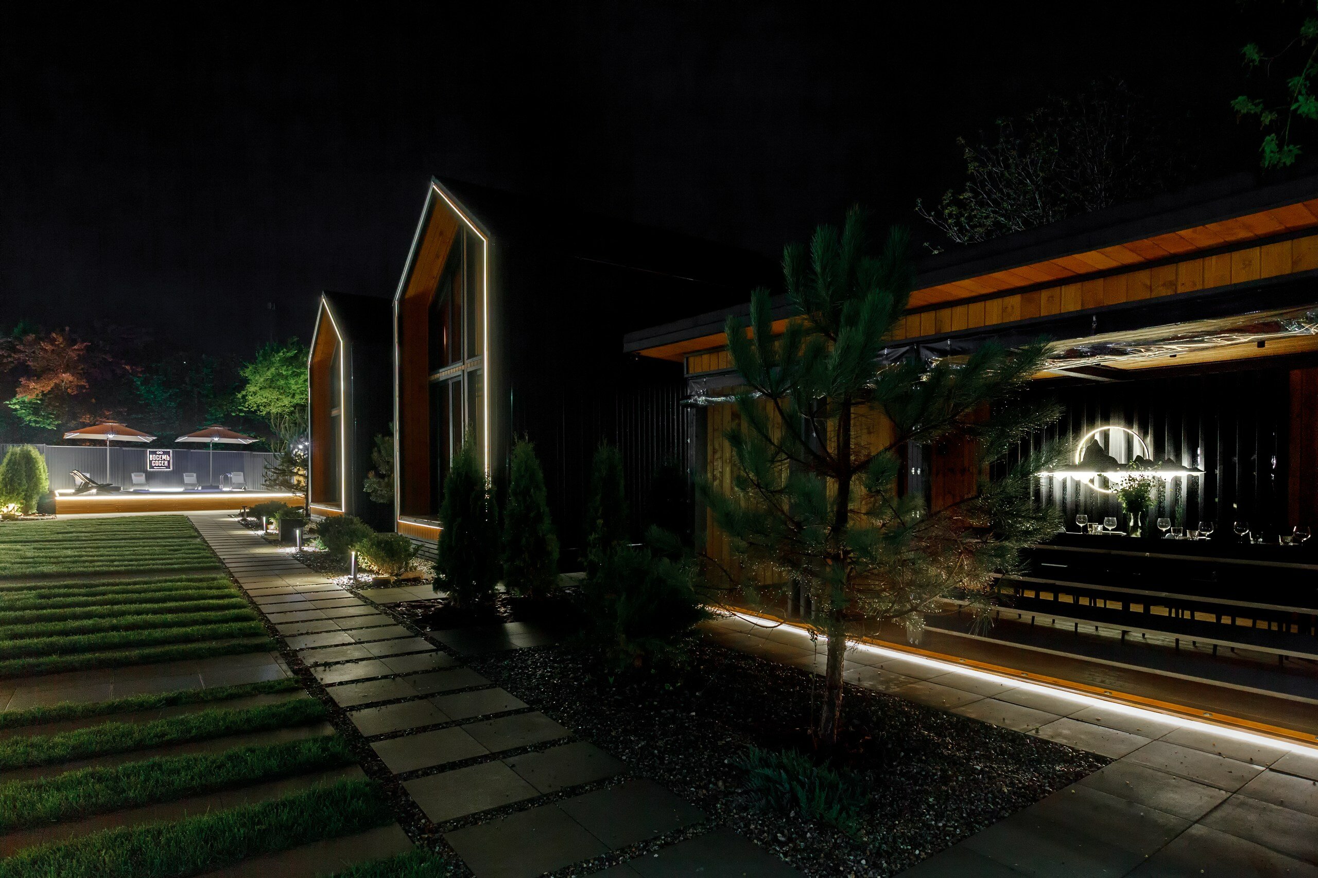 Фото 8 Сосен